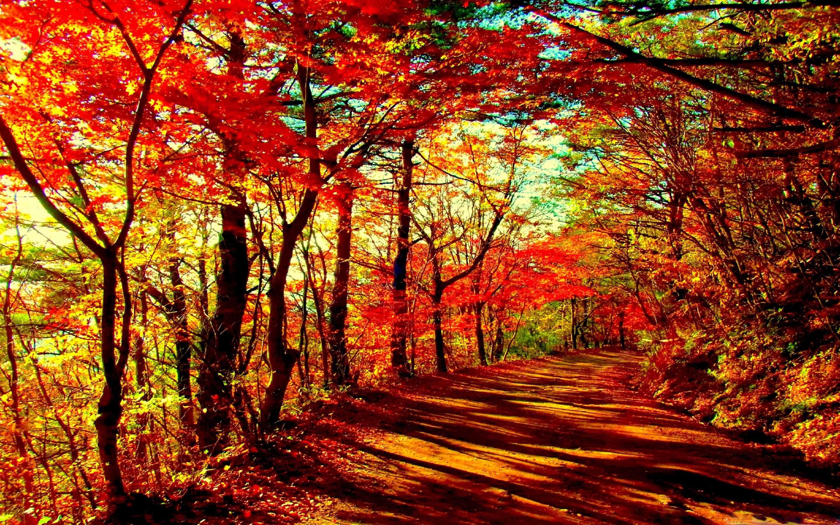 2880x1800 Fall Macbook Air Background