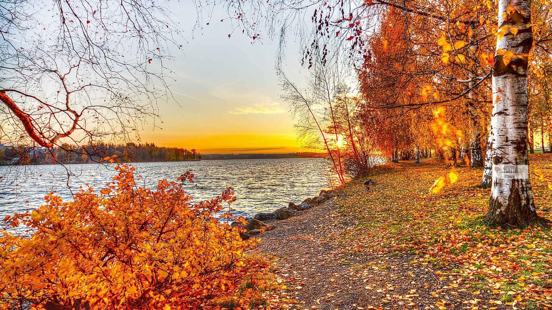 1920x1080 Free Fall Desktop Wallpaper For Mac