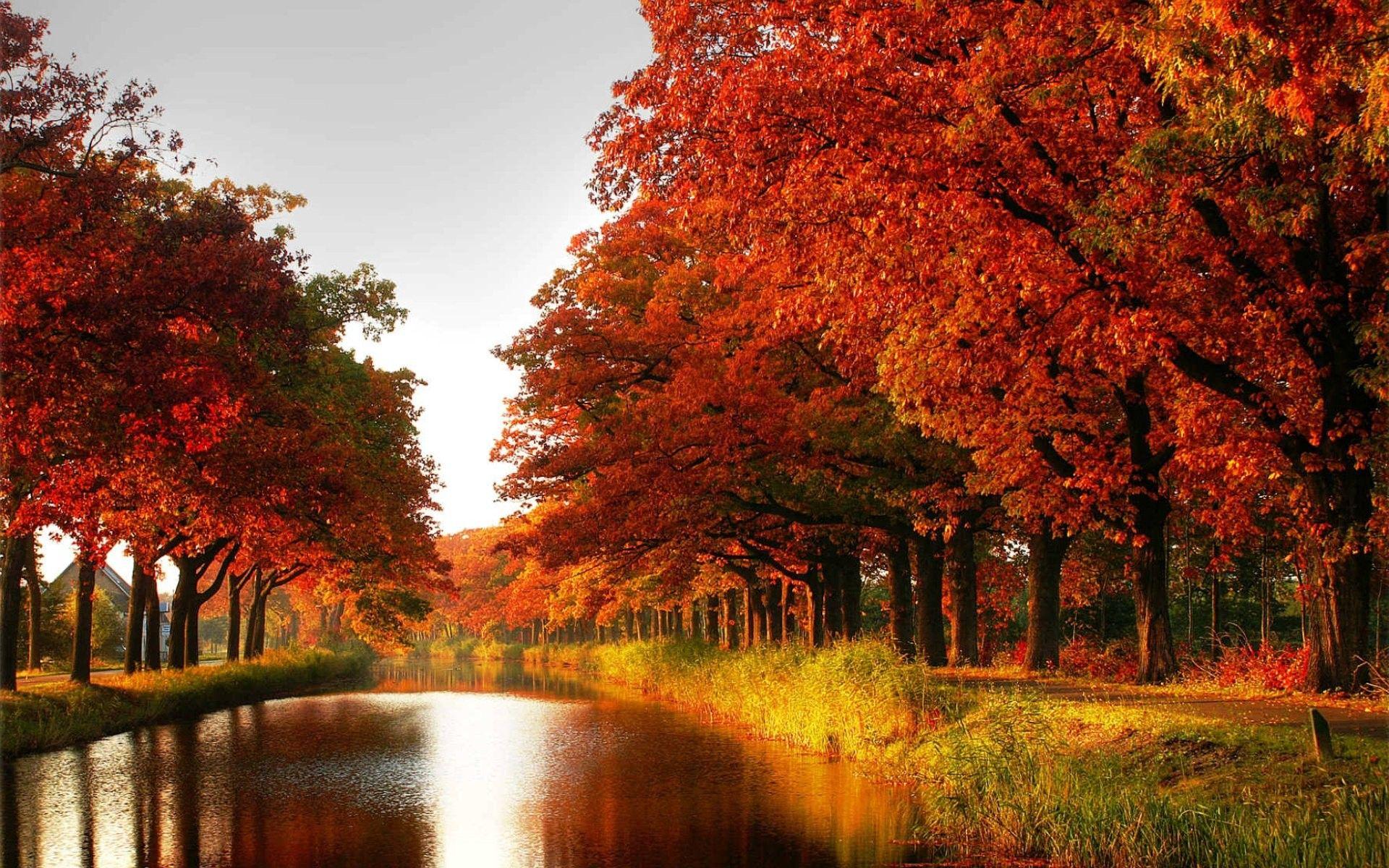 1920x1200 HD Wallpaper, Colors, Fresh Air, Widescreen, Free Image Landscape, autumn, Mac Background