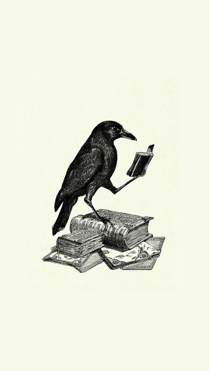 720x1280 phone wallpaper raven. Android wallpaper, Art, Book wallpaper