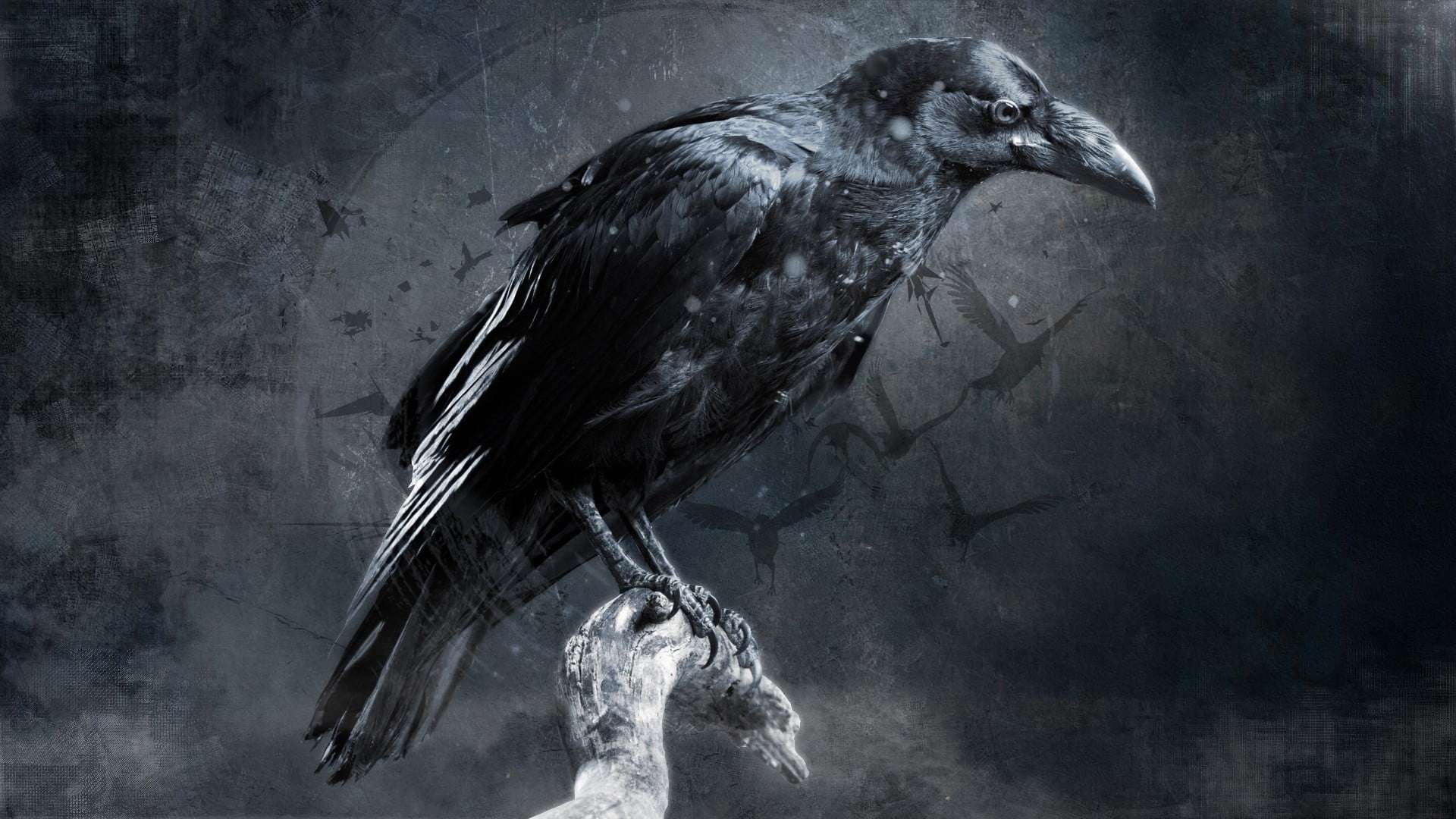 Raven Art Wallpapers Top Free Raven Art Backgrounds Wallpaperaccess