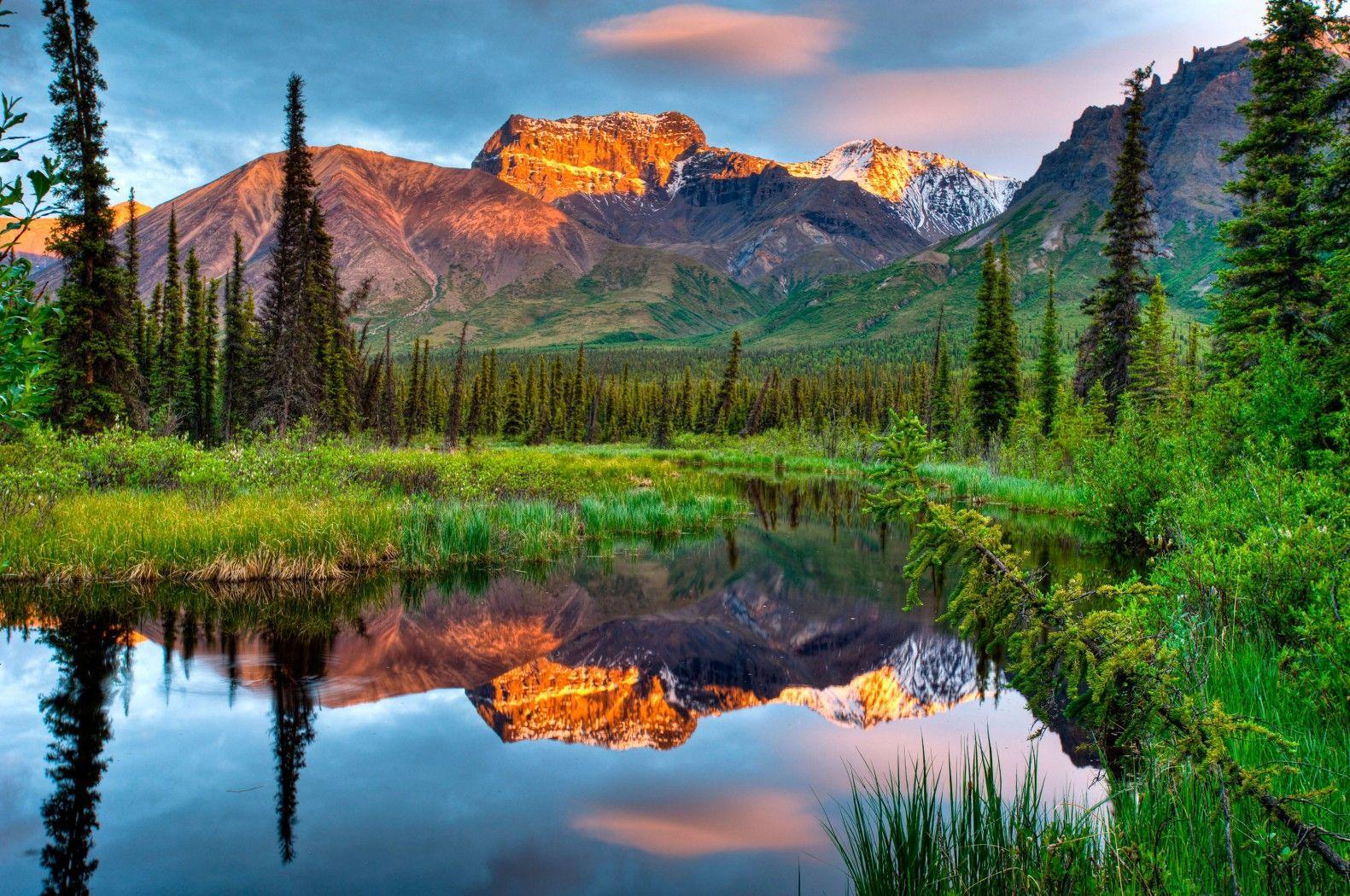 Природа в современности. Национальный парк Врангель-сент-Элайас. Аляска красота природа Аляски. Заповедники Аляски. Национальный парк Денали Аляска Дикая природа.