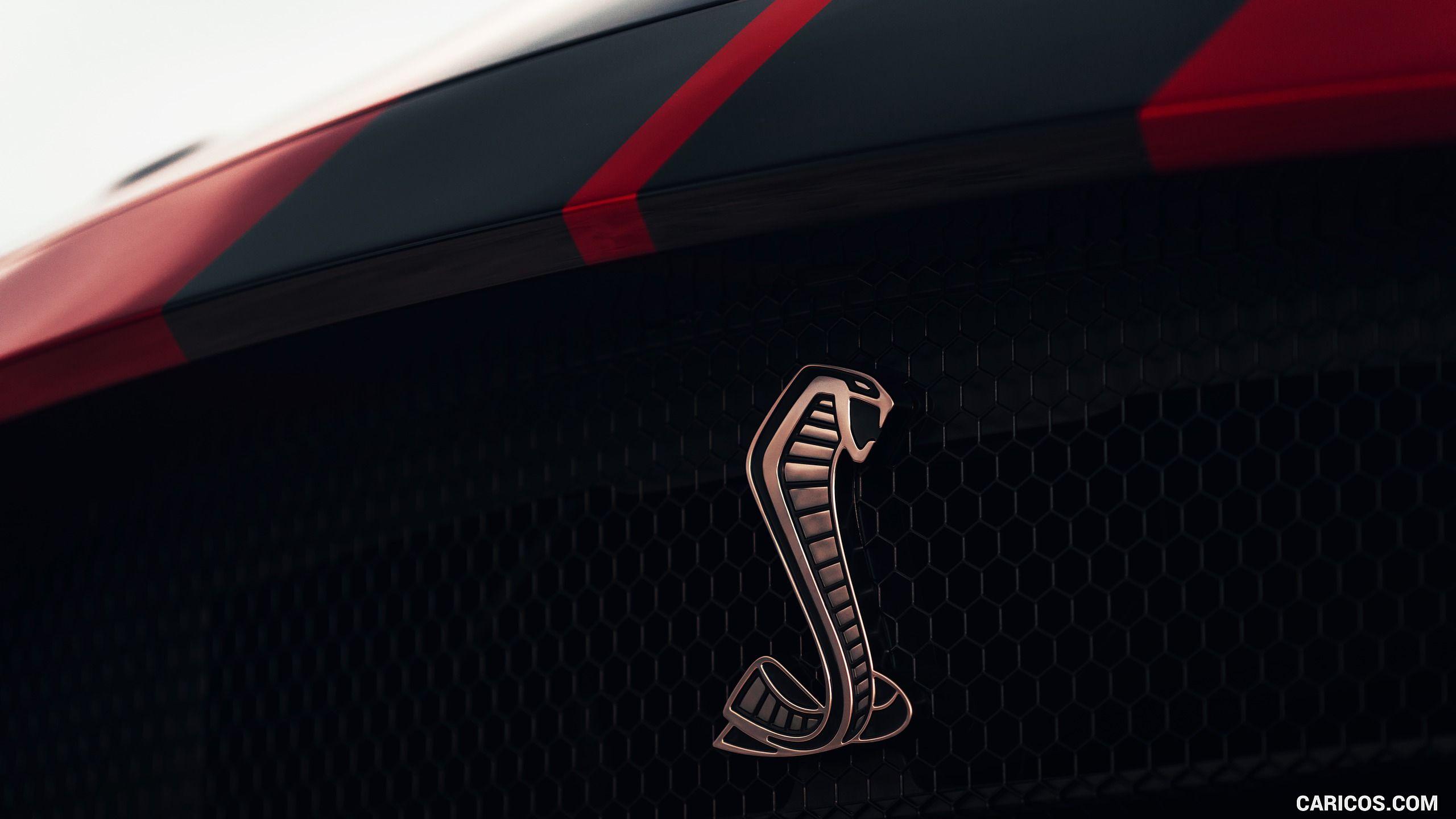 2560x1440 Ford Mustang Shelby GT500. HD Wallpaper