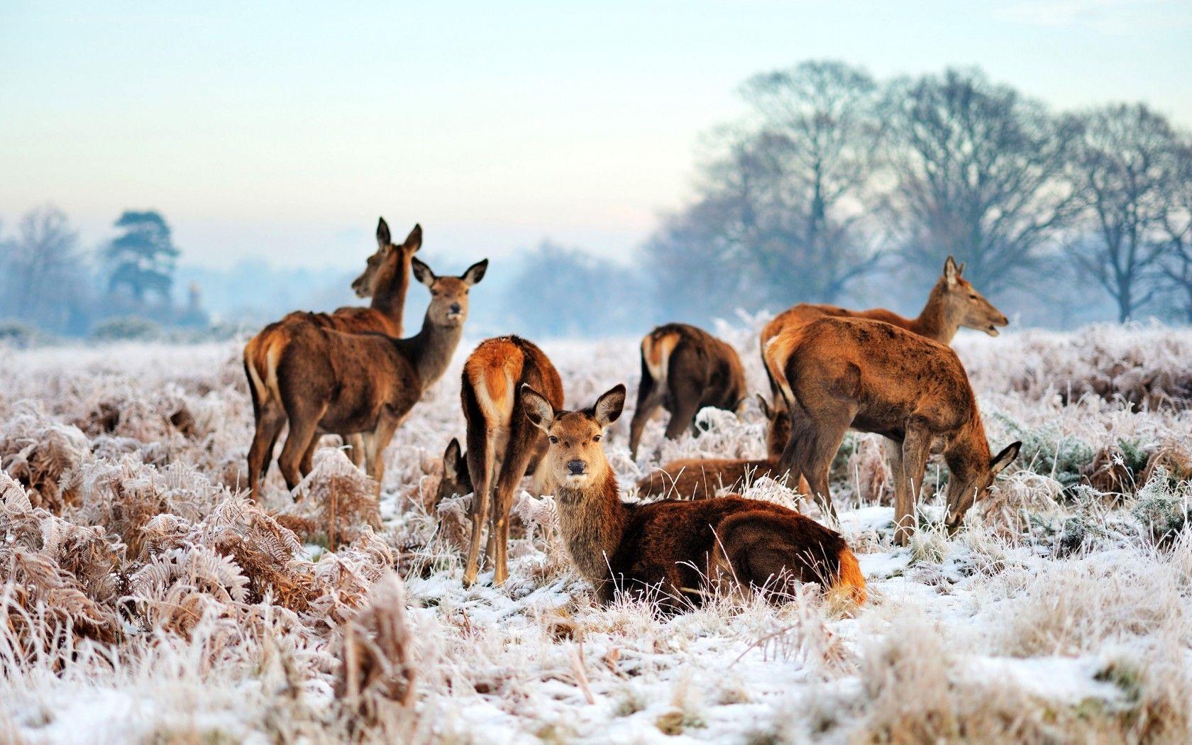 1680x1050 Places That Look Even More Beautiful In Winter