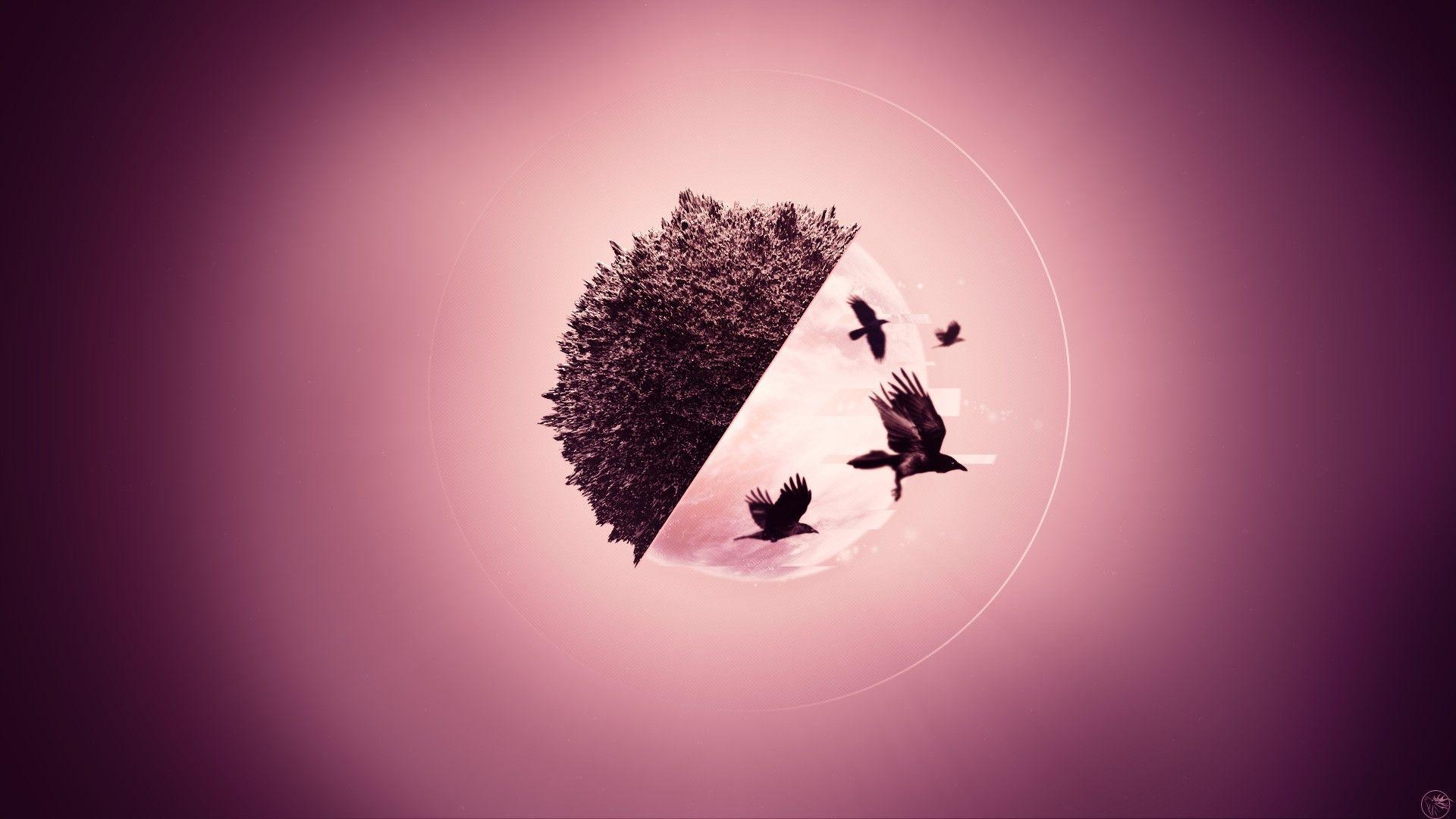 1920x1080 abstract 3D birds raven digital art artwork wallpaper JPG 192 kB. Abstract. Tokkoro.com Amazing HD Wallpaper