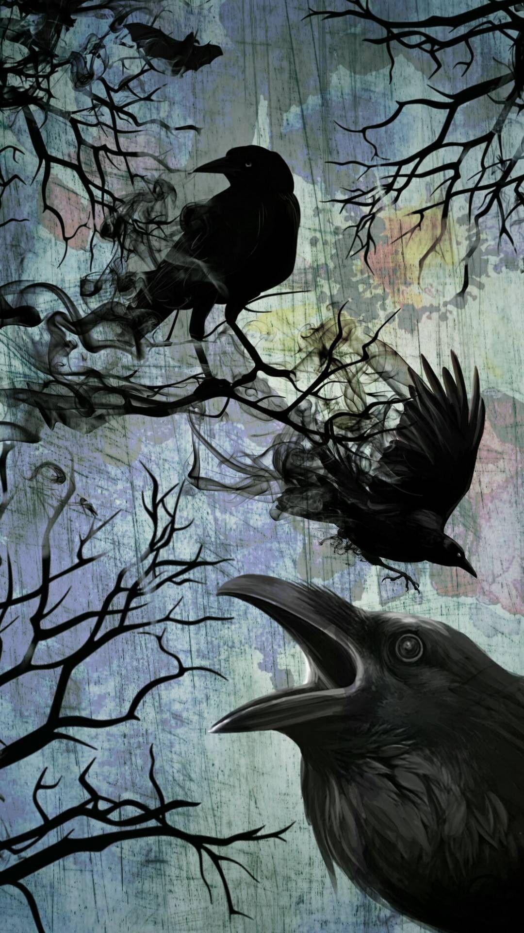 1080x1920 Crows & Ravens. Crow painting, Crow art, Raven art