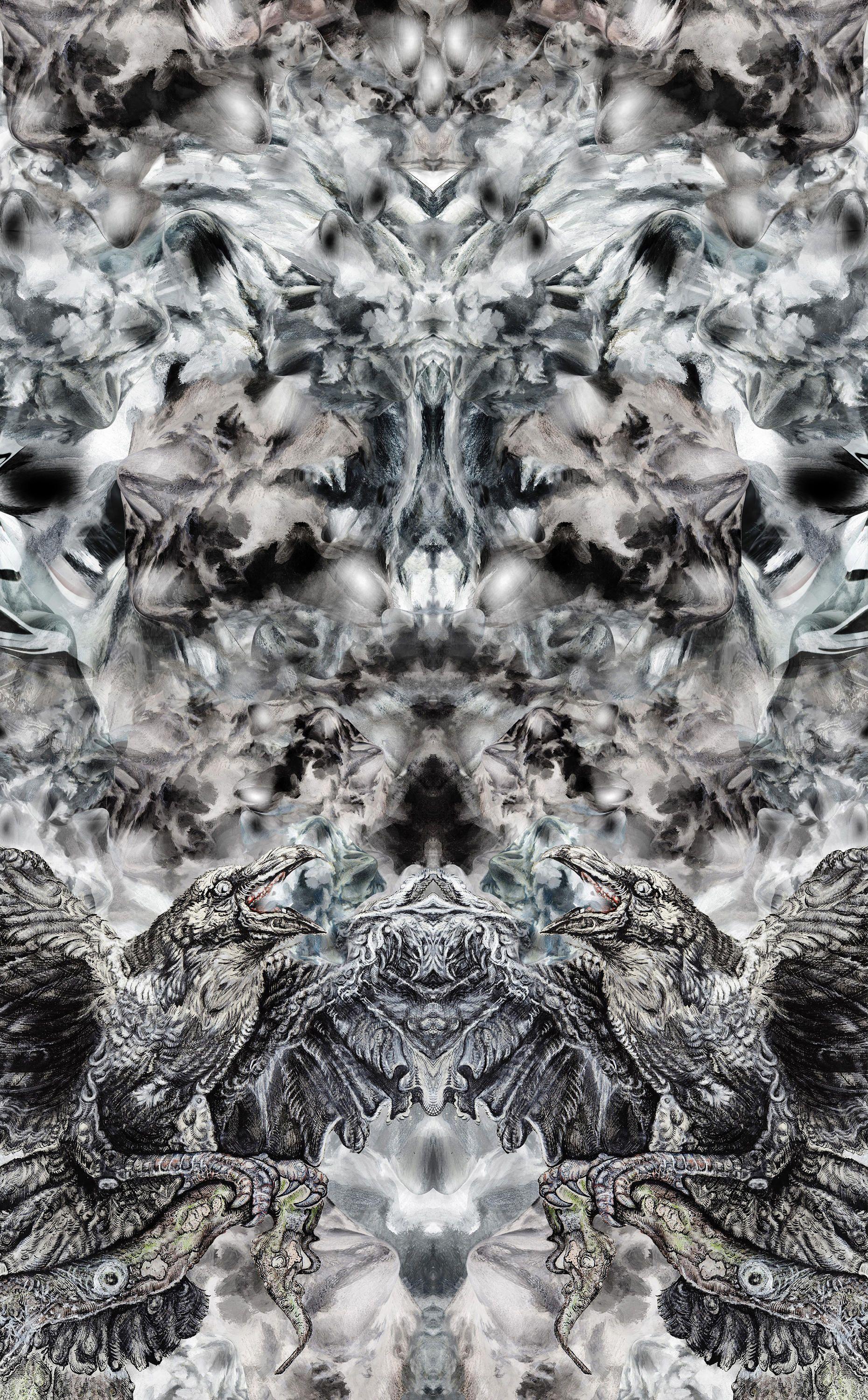 1860x3000 Raven