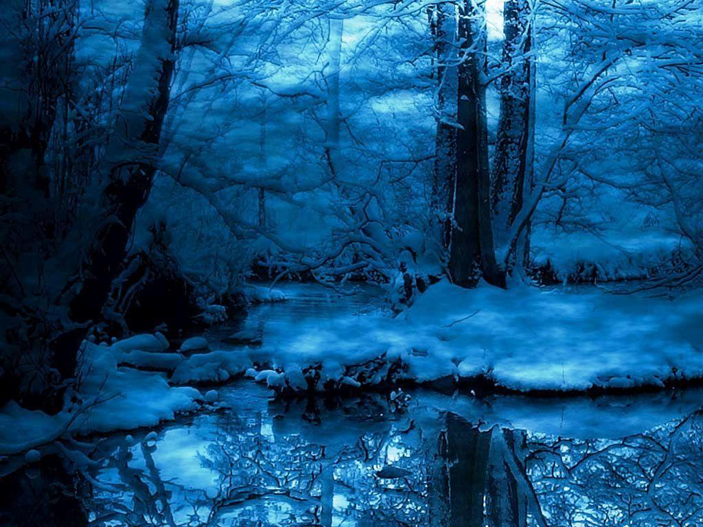 Snowy Forest At Night Wallpapers - Top Free Snowy Forest At Night 