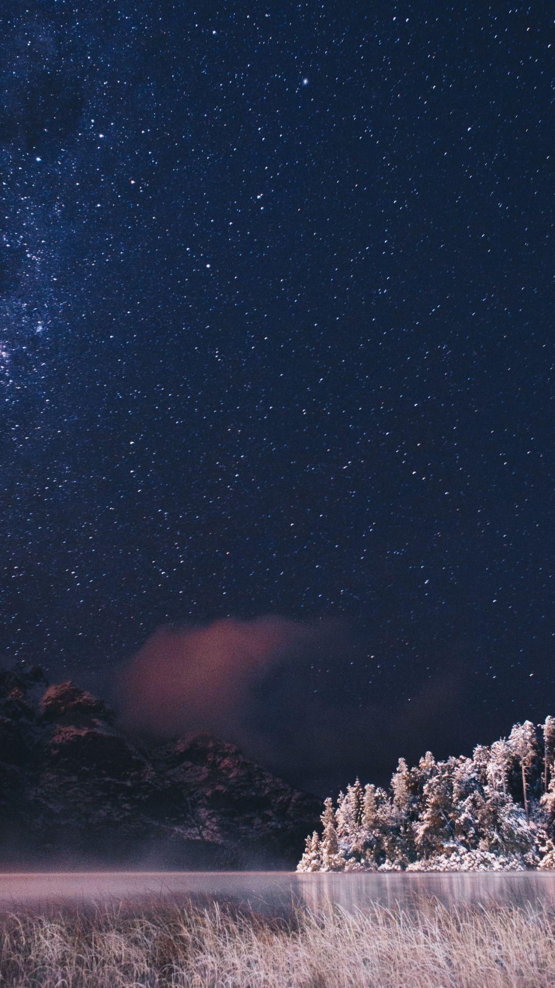 1080x1920 Snowy forest iPhone Wallpaper