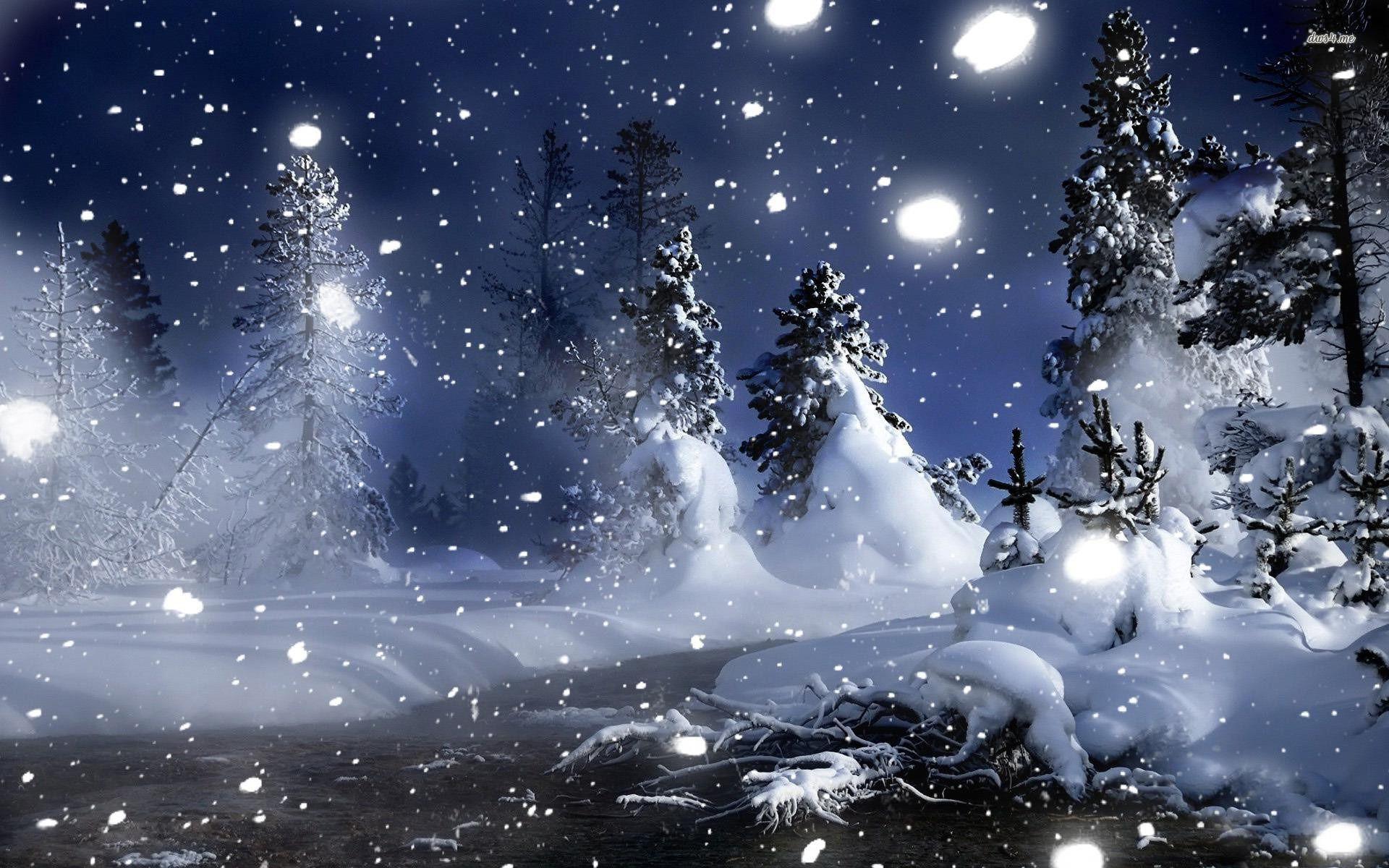 Snowy Forest At Night Wallpapers - Top Free Snowy Forest At Night