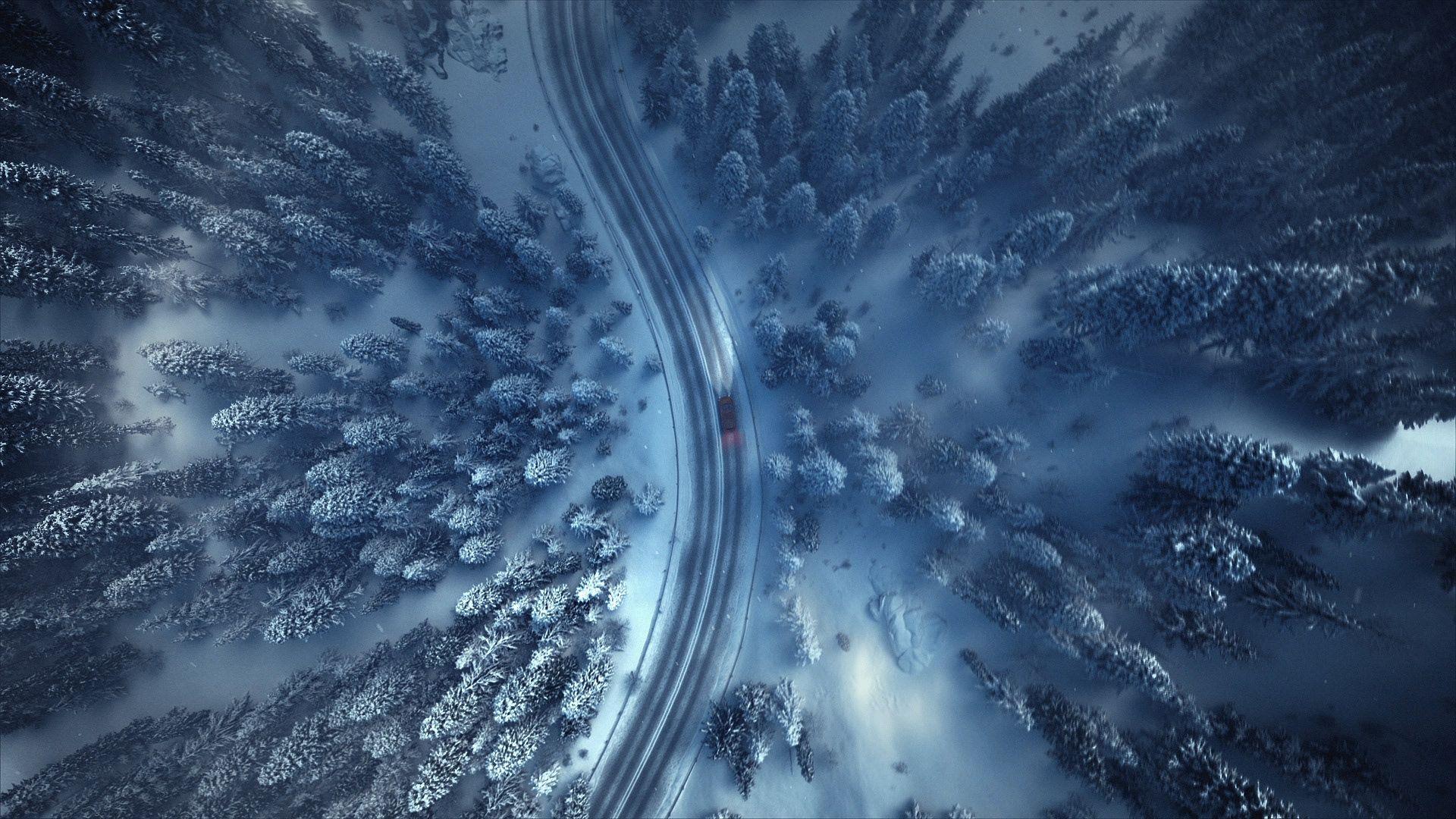 1920x1080 Winter Forest Wallpaper