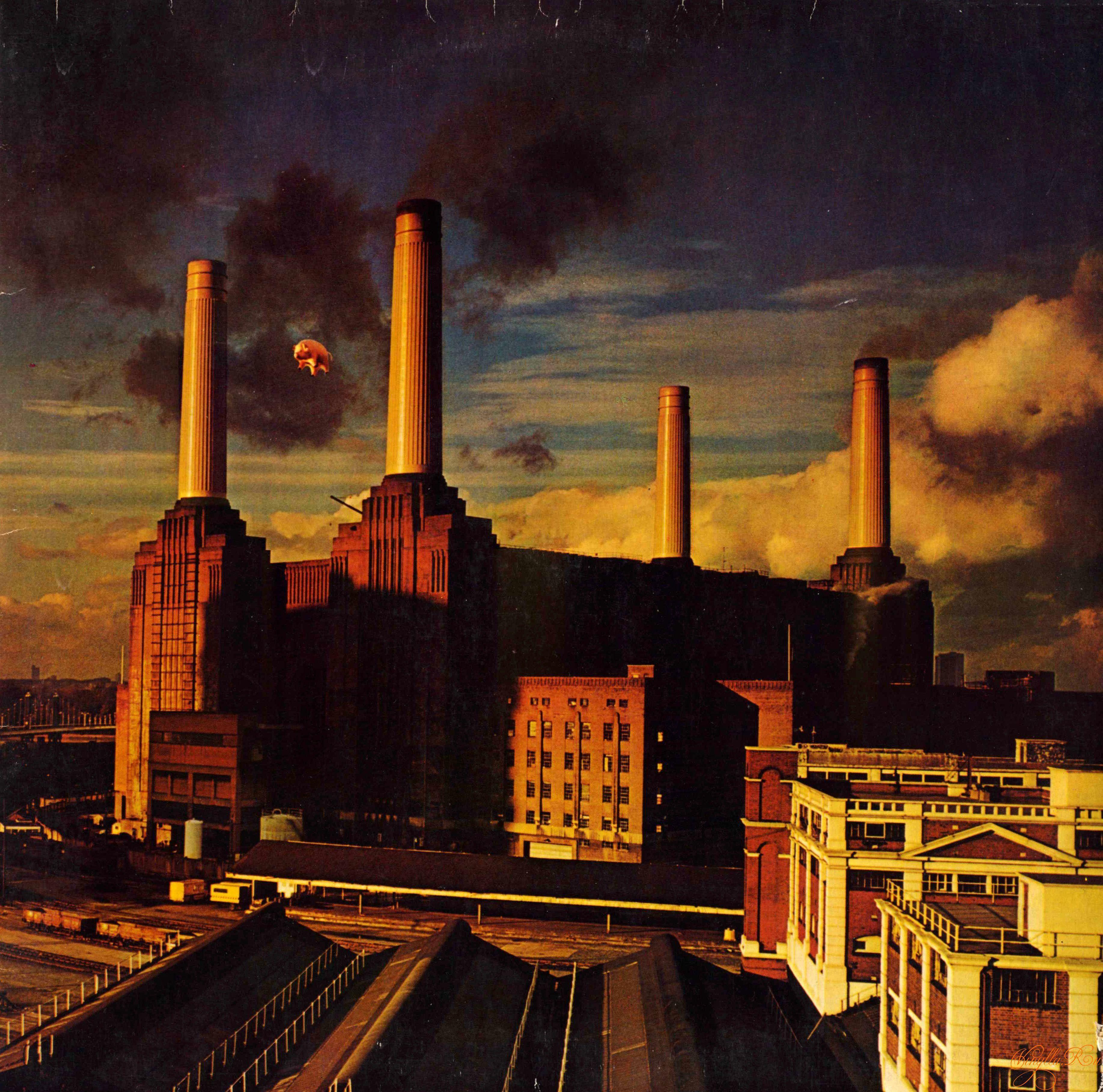 Pink Floyd Animals Wallpapers - Top Free Pink Floyd Animals Backgrounds -  WallpaperAccess