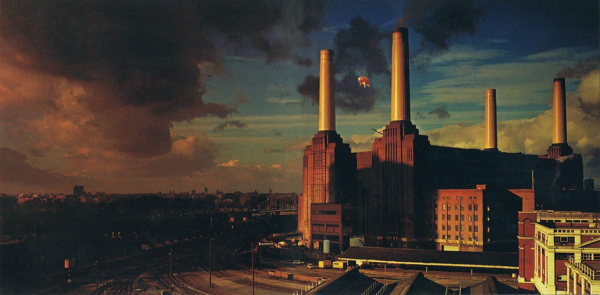 Pink Floyd Animals Wallpapers - Top Free Pink Floyd Animals Backgrounds 