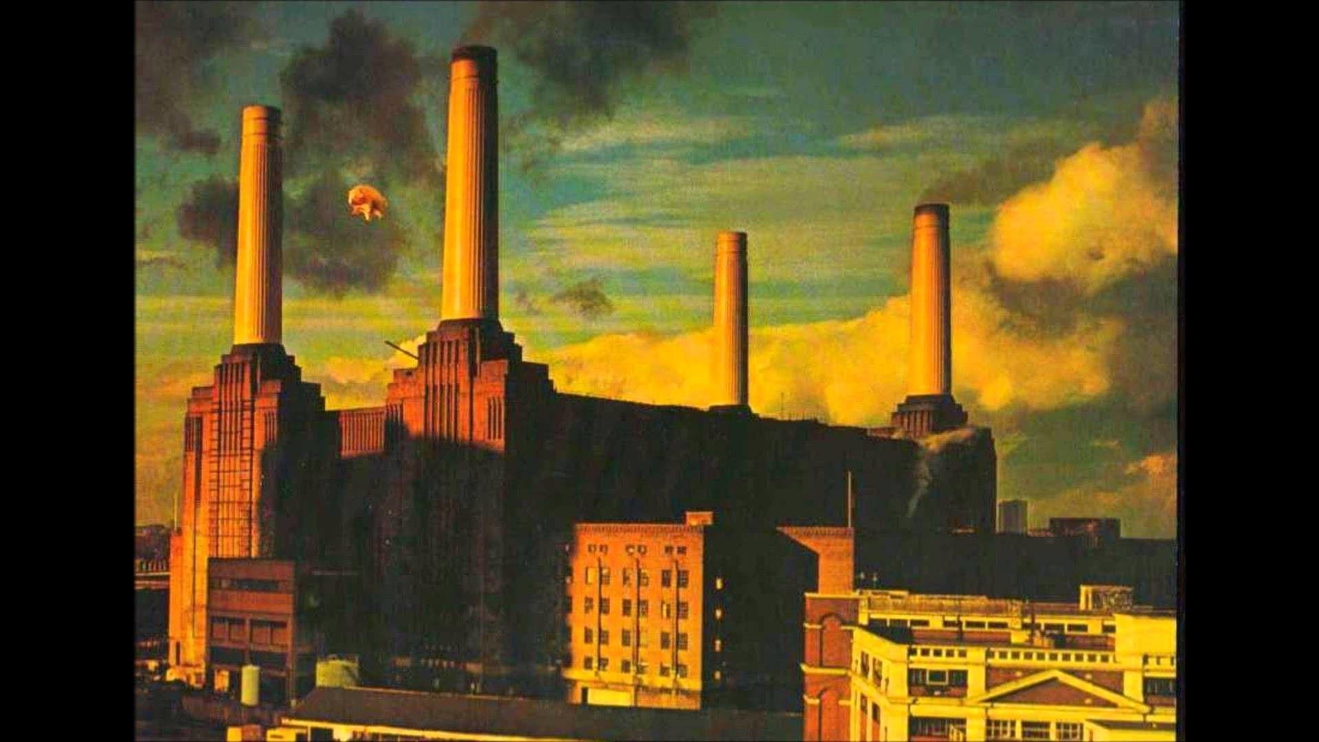 Pink Floyd Animals Wallpapers - Top Free Pink Floyd Animals Backgrounds