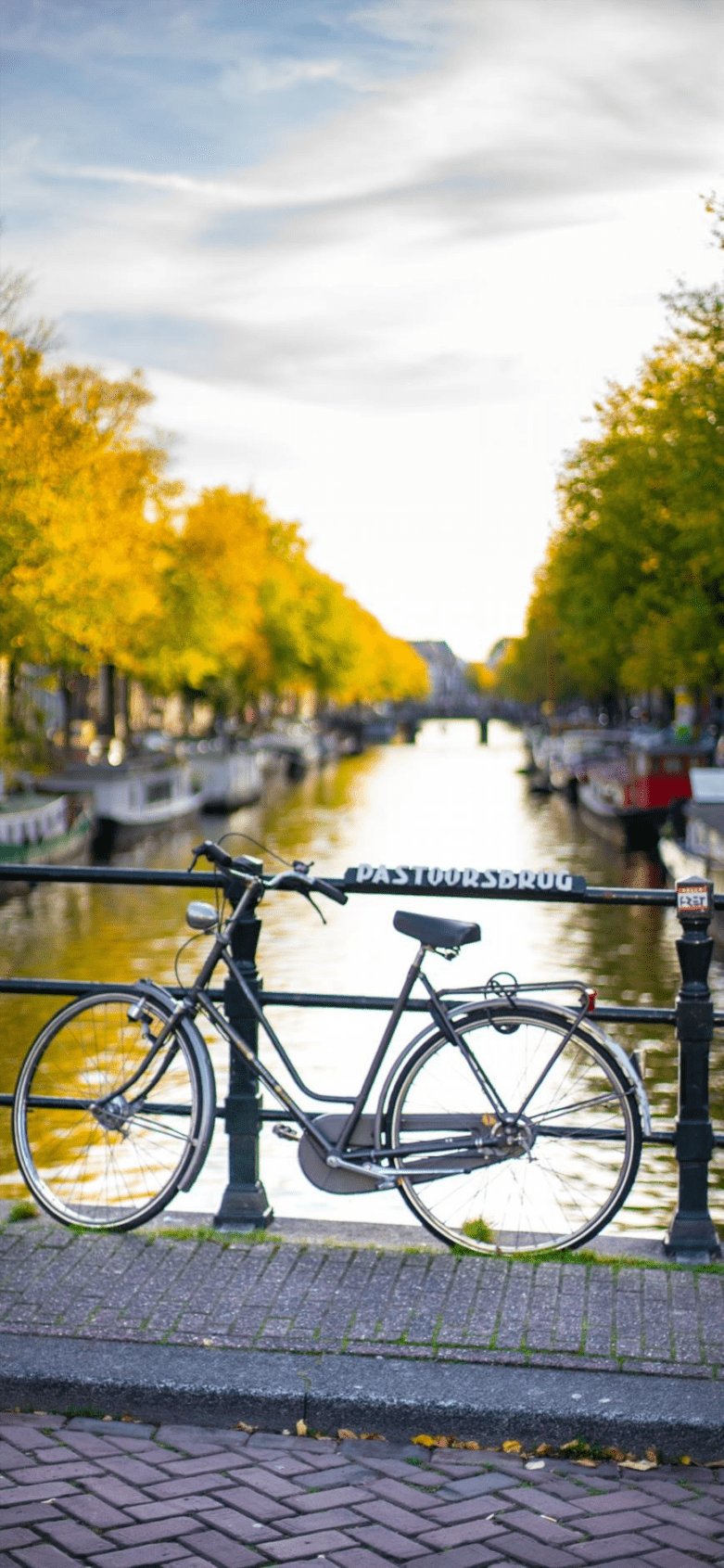 781x1691 Bicycle Wallpaper art: Free HD Download