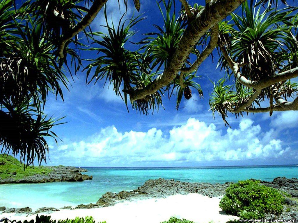 1024x768 Tropical Beach