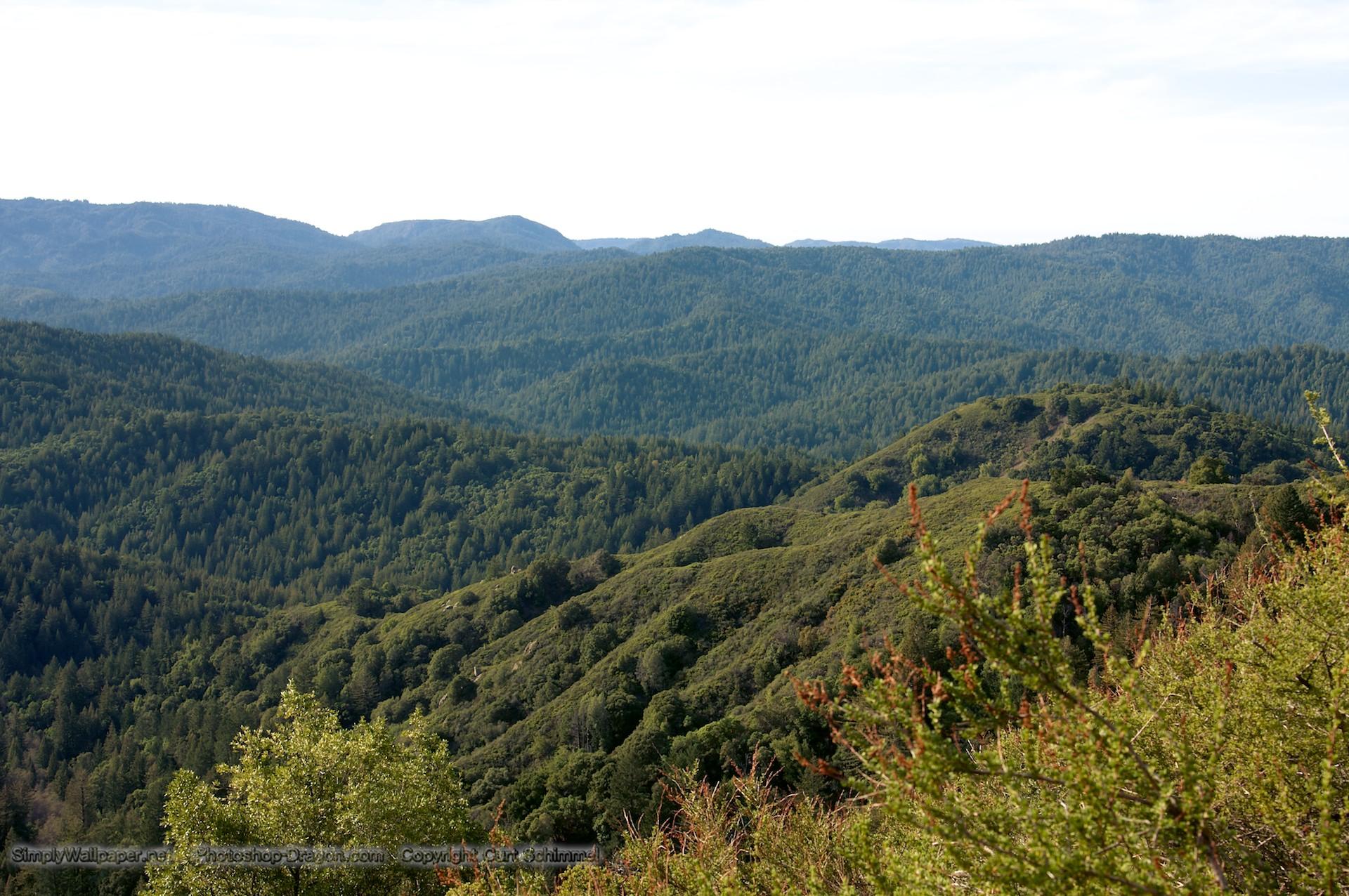 1920x1276 Santa Cruz Mountains Desktop Wallpaper