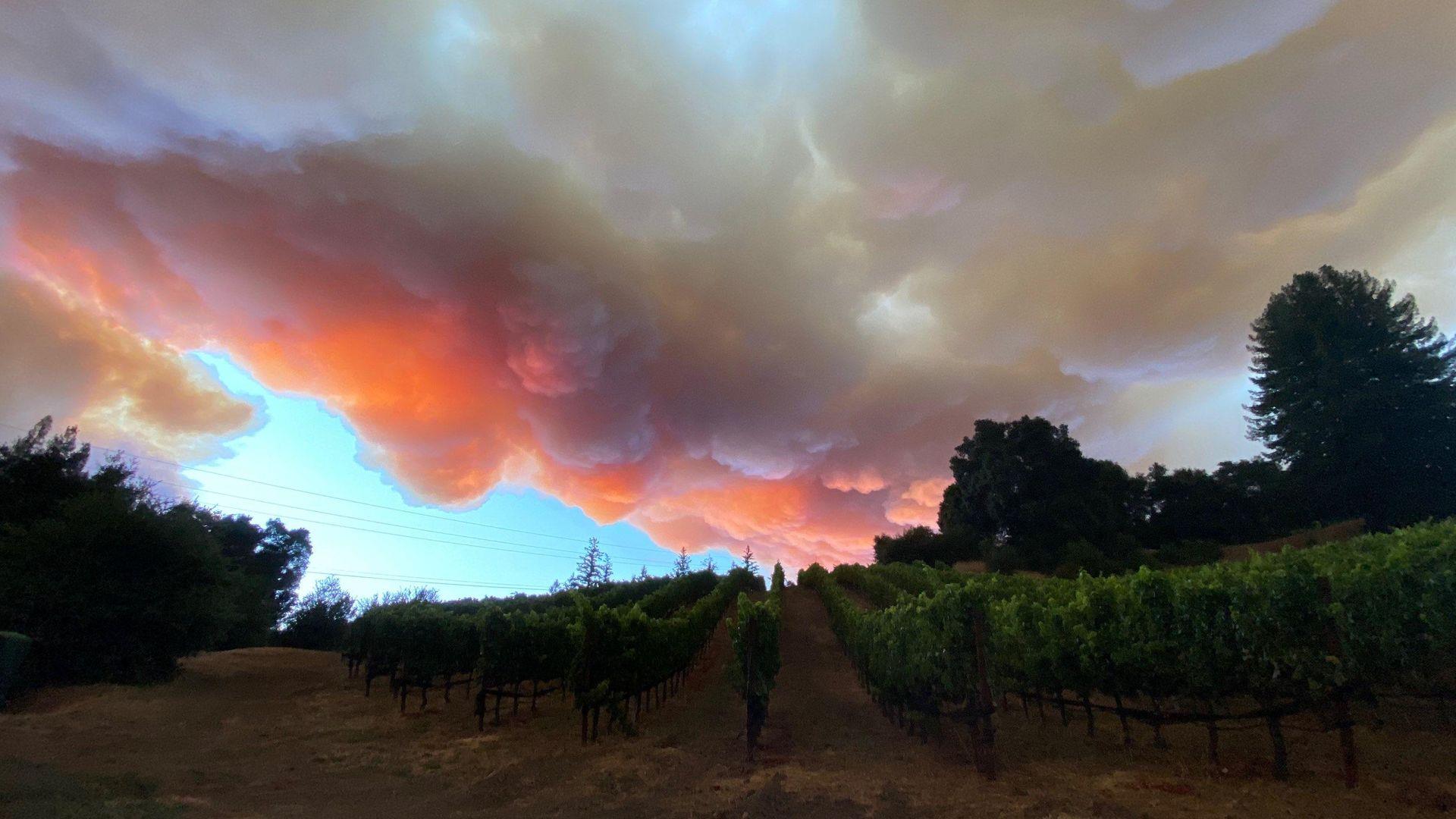 1920x1080 California fires: Wineries in Santa Cruz under threat