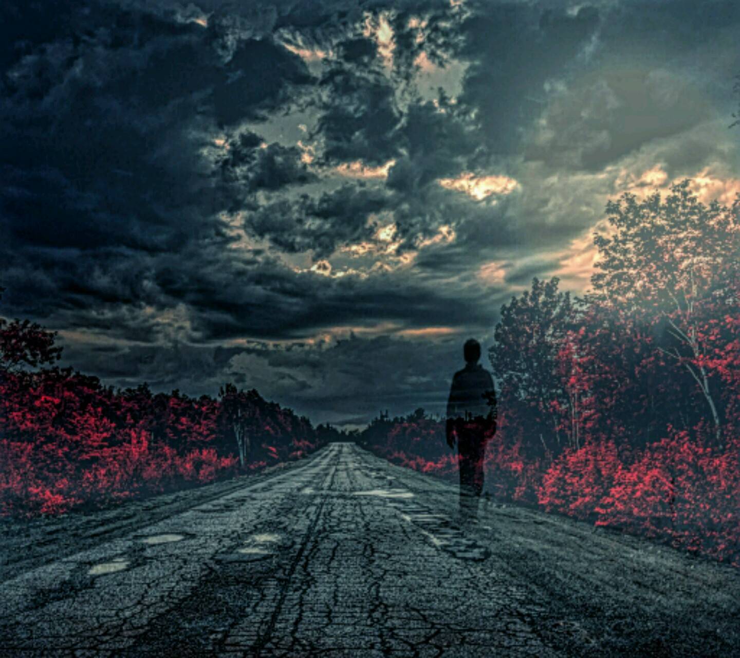 Lonely Road Wallpapers - Top Free Lonely Road Backgrounds - WallpaperAccess