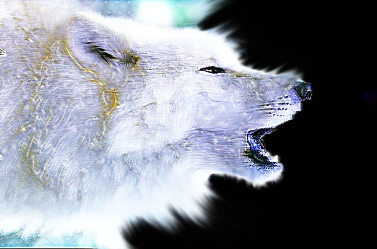1200x794 Neon Wolf, Number 1
