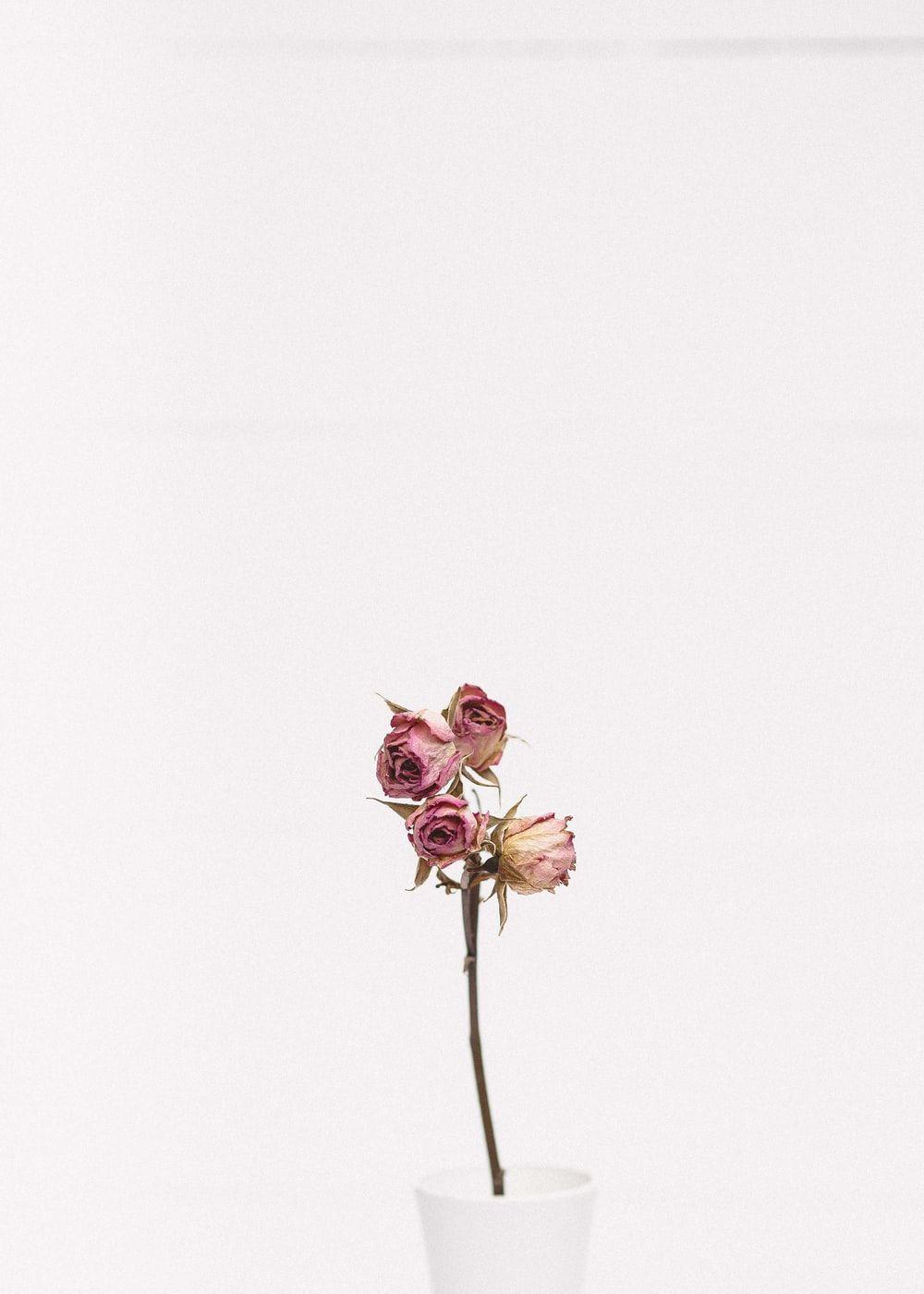 1000x1400 Minimal Person Picture. Download Free Image