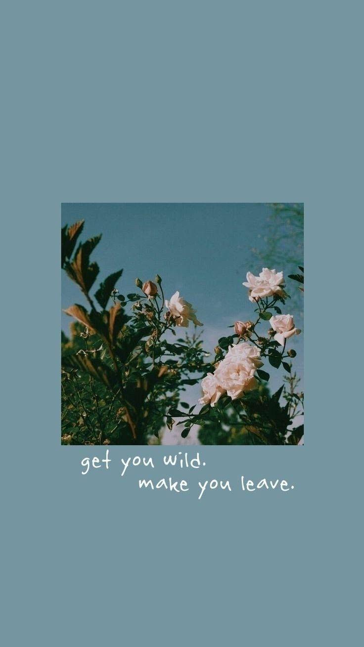 736x1309 Vintage Aesthetic Wallpaper