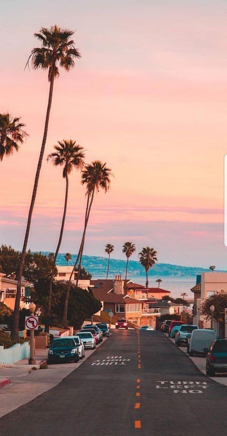 736x1414 Aesthetic Vintage Photo Wallpaper