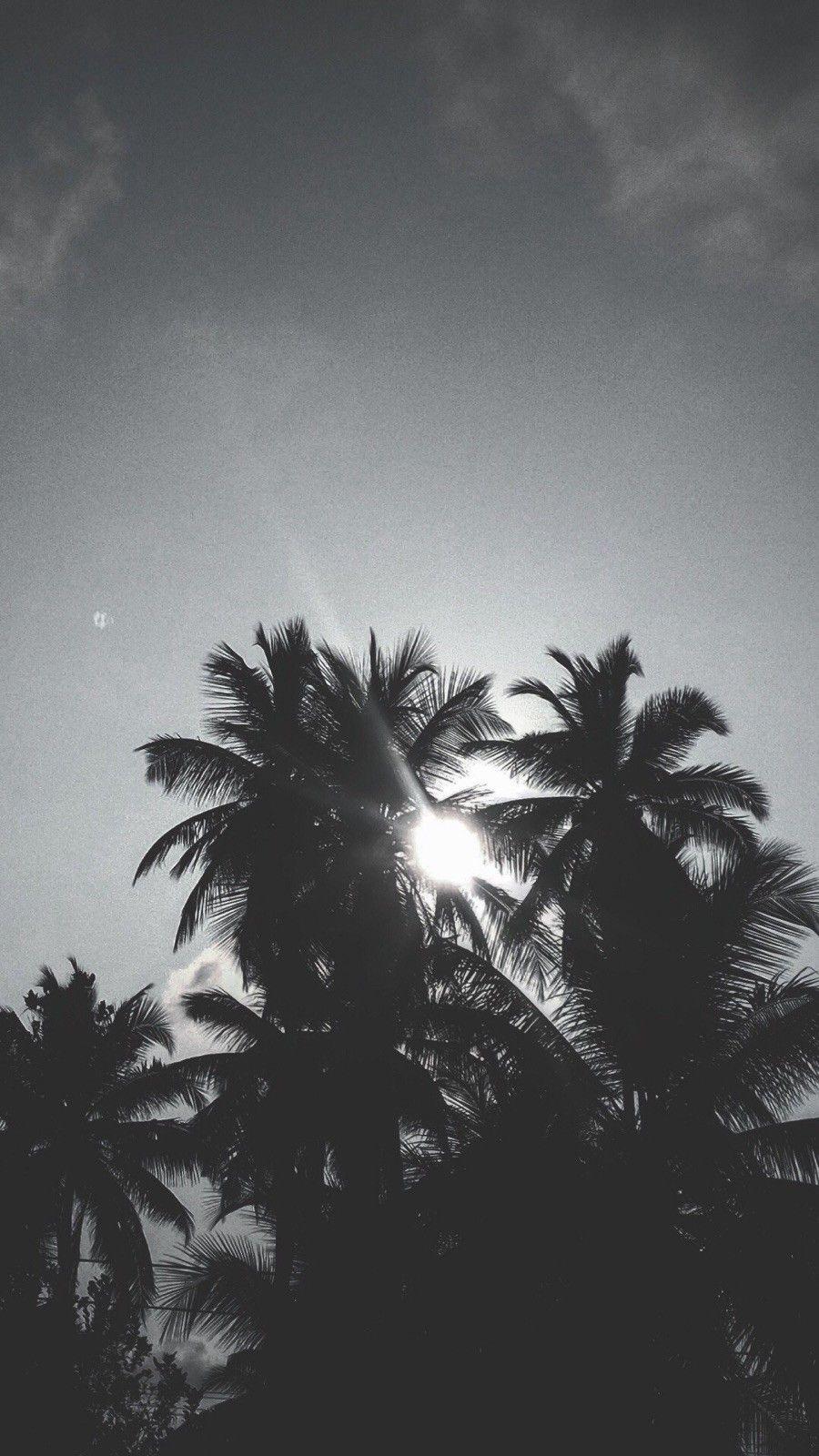 900x1600 Vintage Black And White Aesthetic Wallpaper