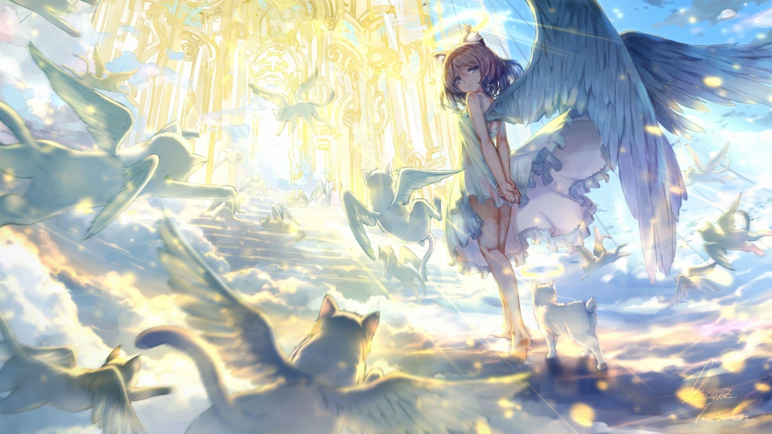 2560x1440 Download 2560x1440 Anime Girl, Angel, Wings, Heaven Stairs, Light Dress Wallpaper for iMac 27 inch