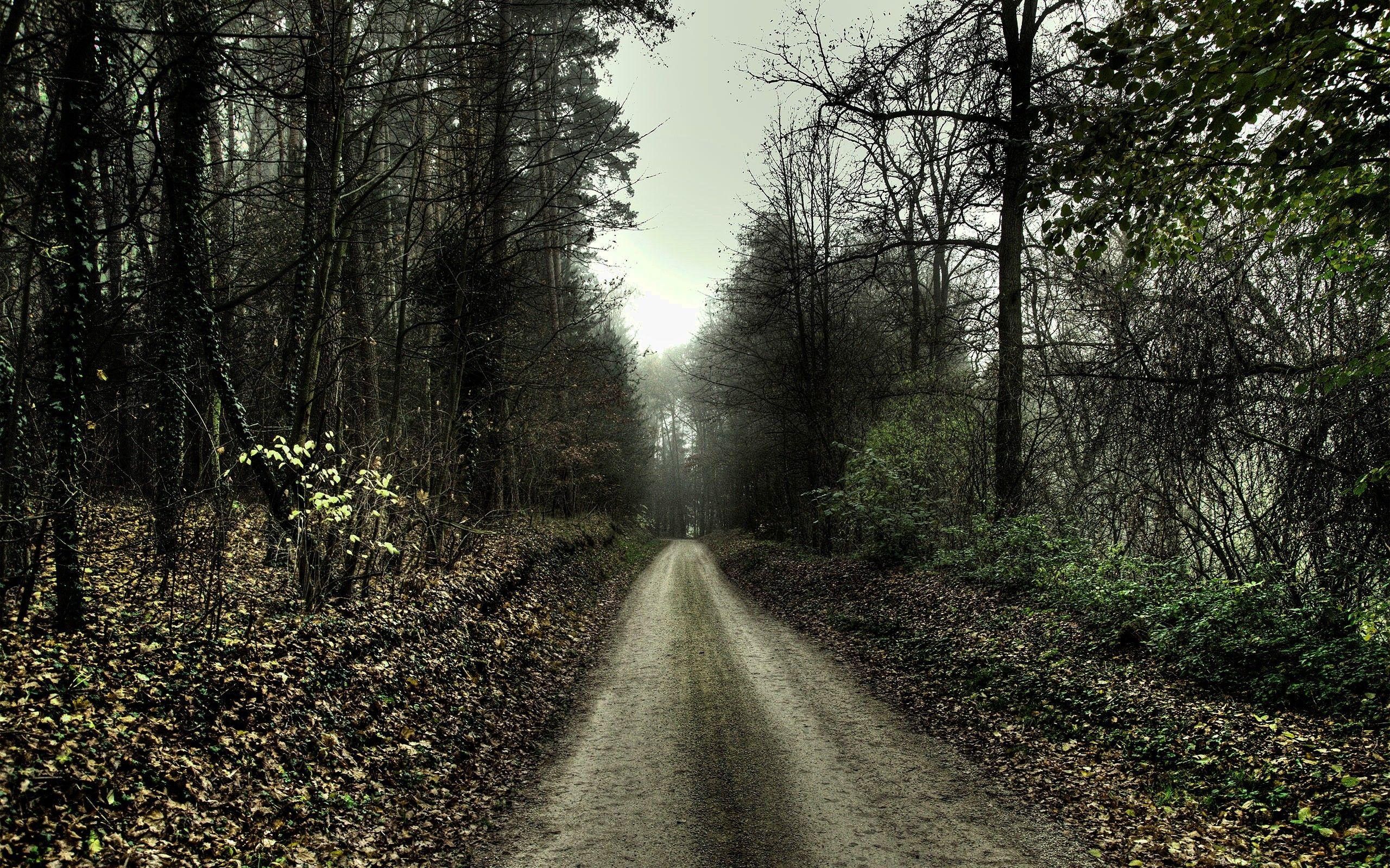 lonely-road-wallpapers-top-free-lonely-road-backgrounds-wallpaperaccess