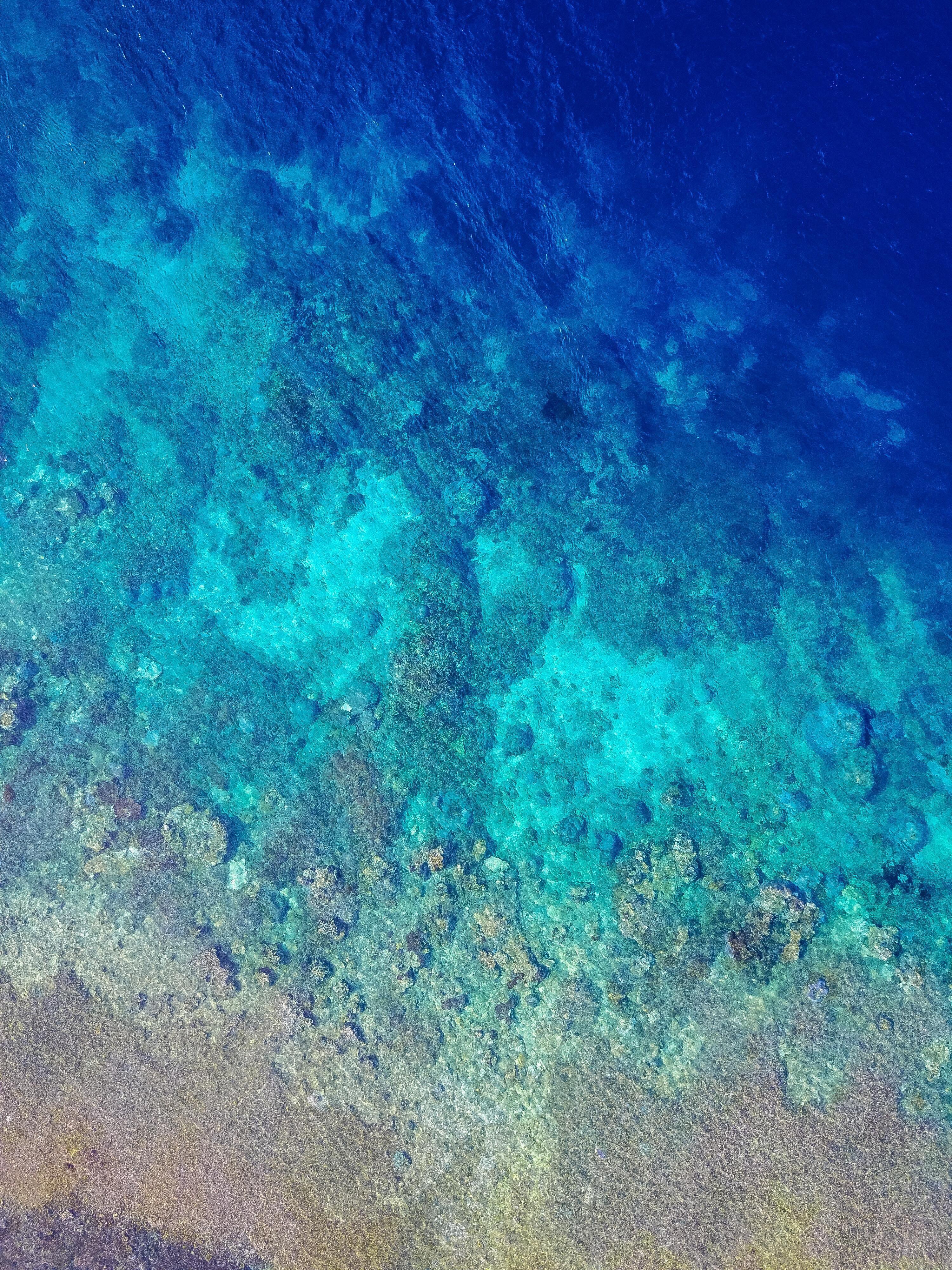 3000x4000 Nice vibrant blue wallpaper from