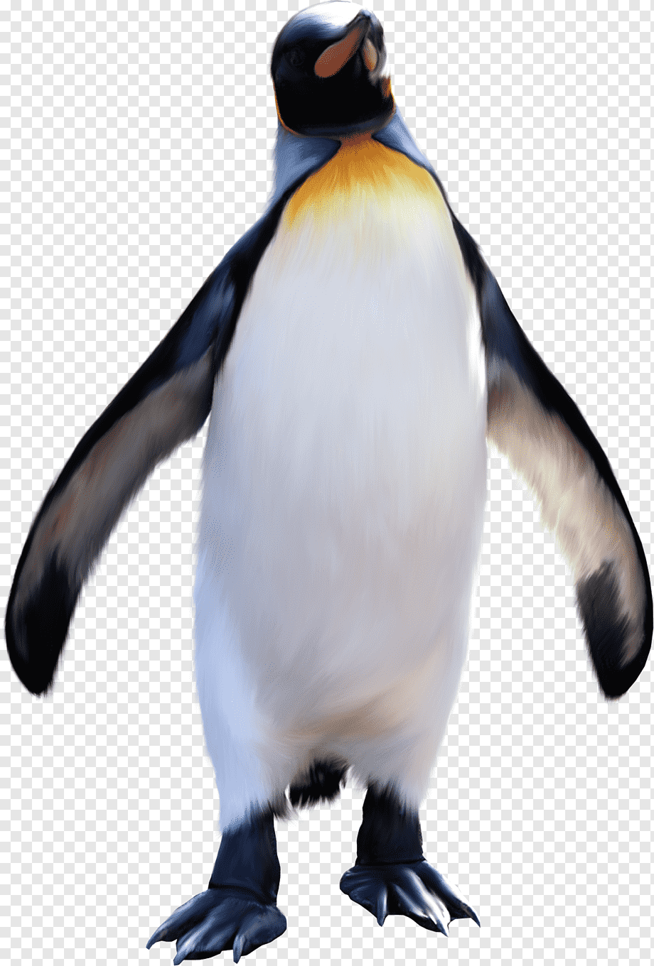 920x1360 King Penguin Antarctic Emperor Penguin, Penguins, Animals, Penguin Penguin King HD Wallpaper