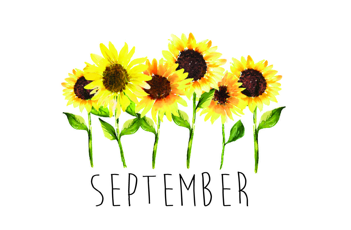 1229x804 Sunflowers. Freebie September 2018 Tech Wallpaper. Design Works Intl