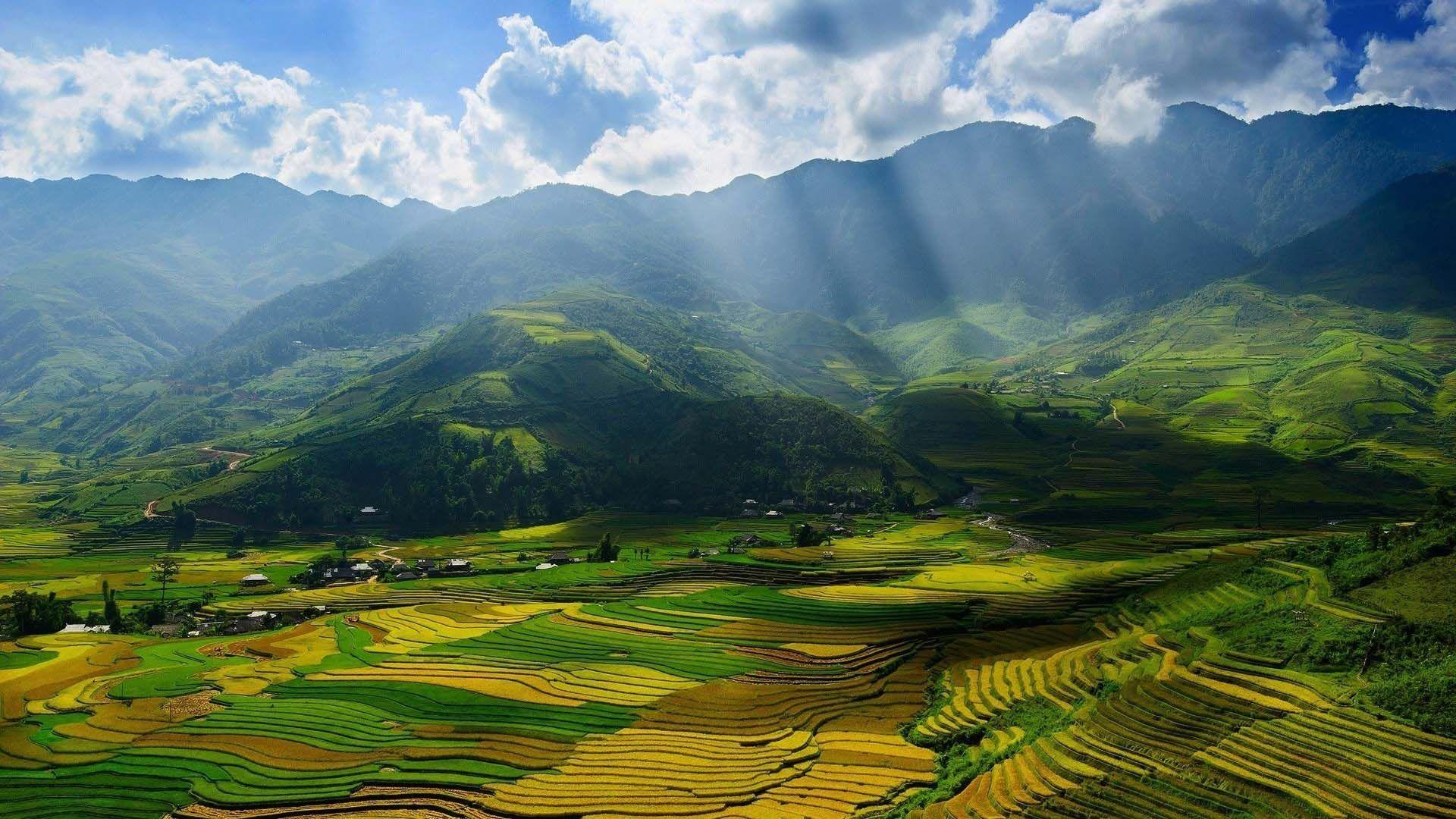 1920x1080 Yen Bai Vietnam- Amazing Layered Field. HD Nature Wallpaper