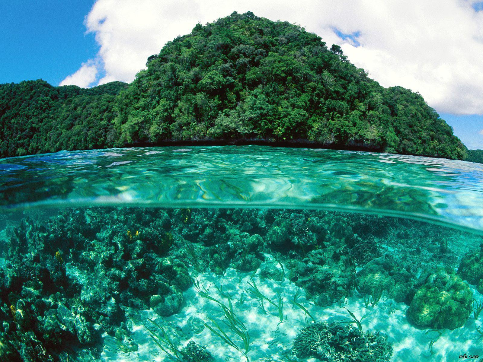 1600x1200 Palau Wallpaper