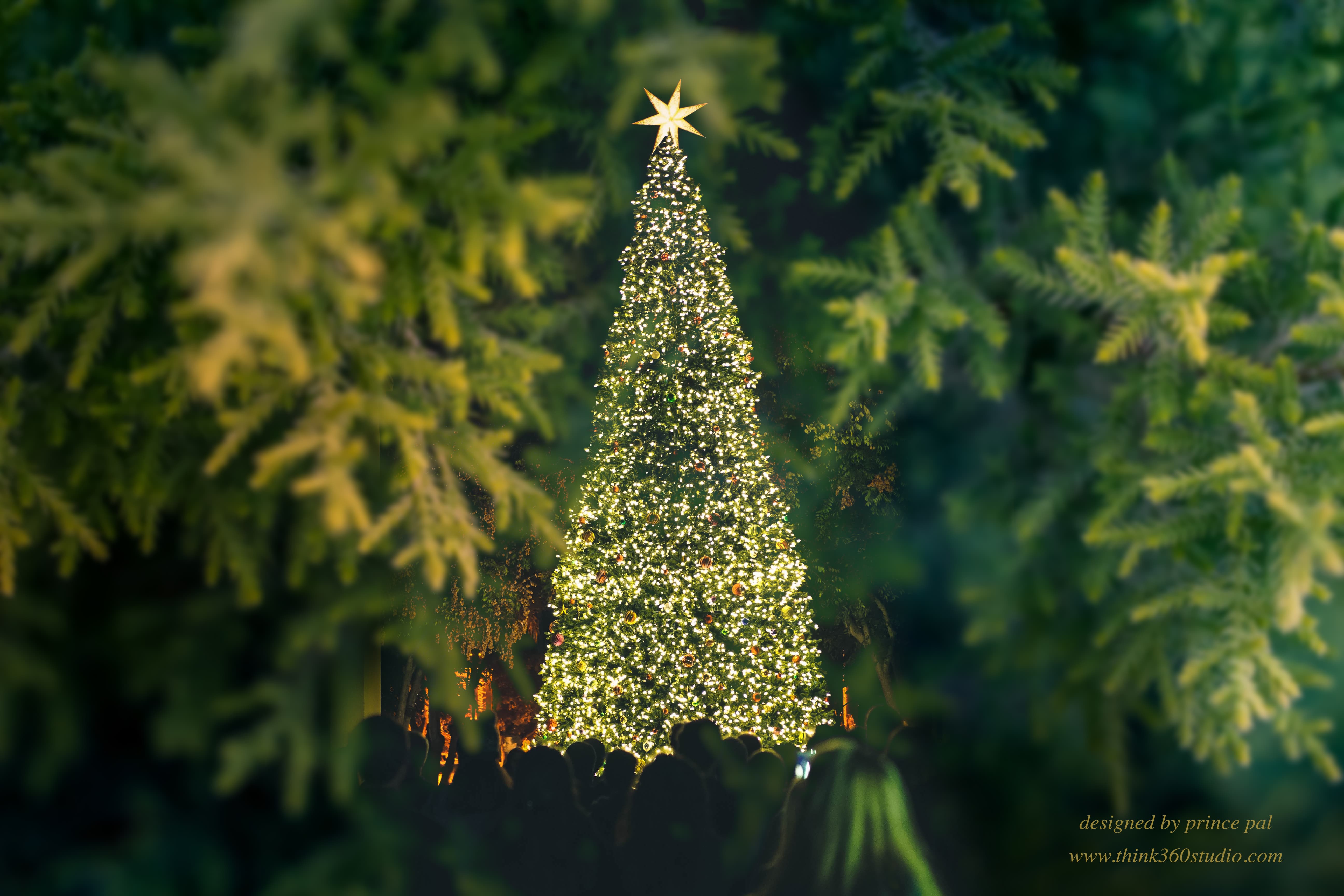 5184x3456 Merry Christmas Wallpaper By Prince Pal