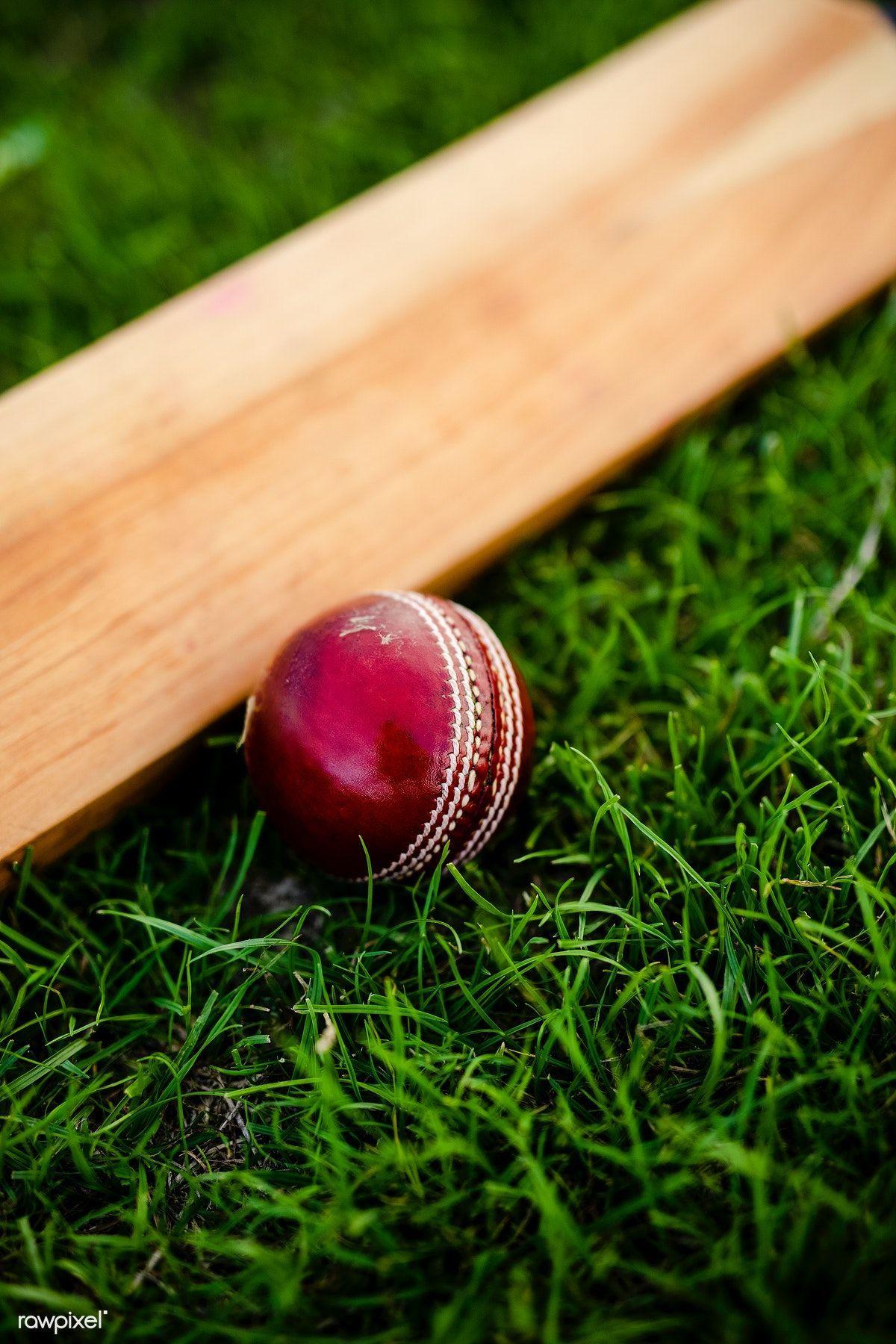 1200x1800 cricbuzz hindi