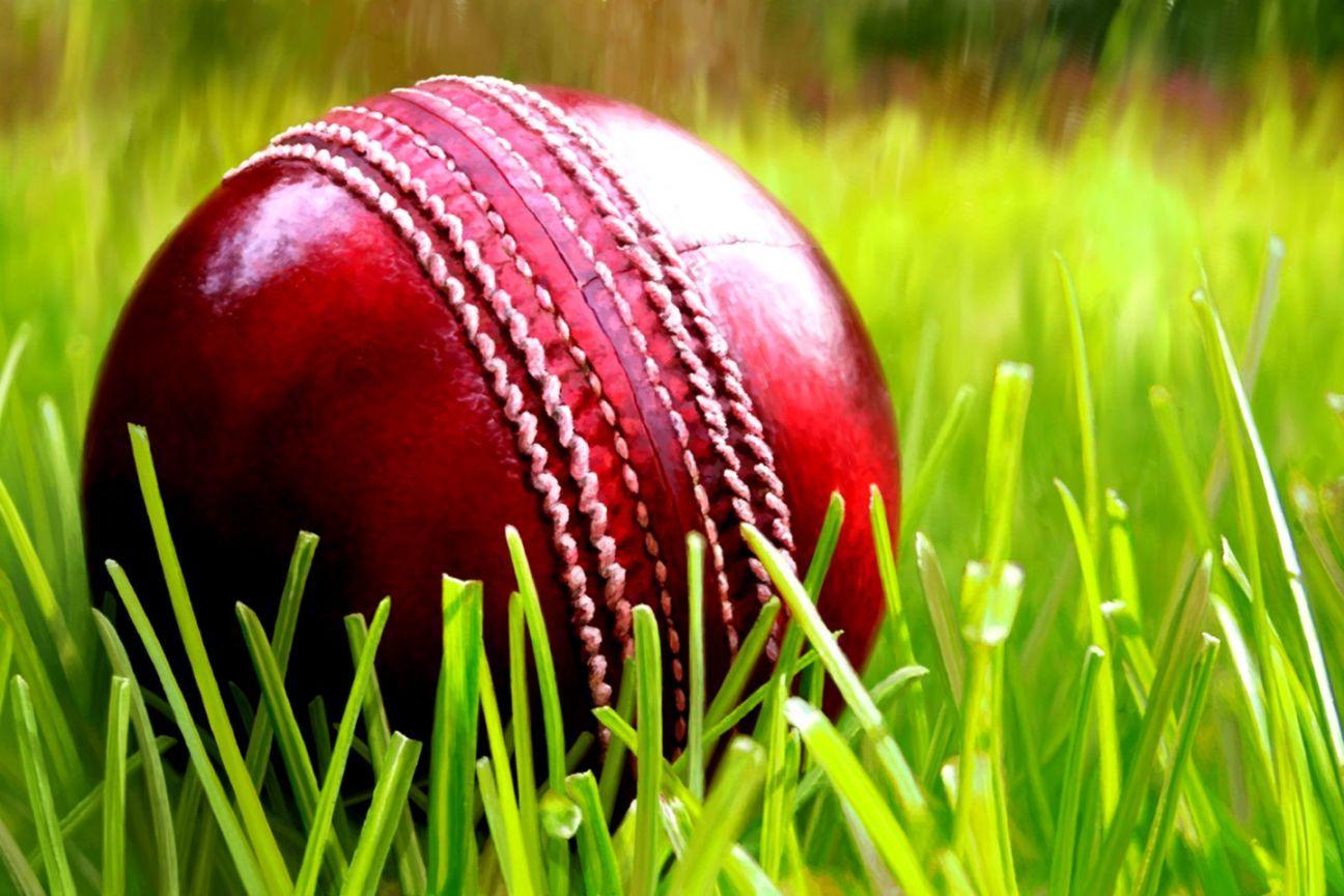 1296x864 Cricket Wallpaper