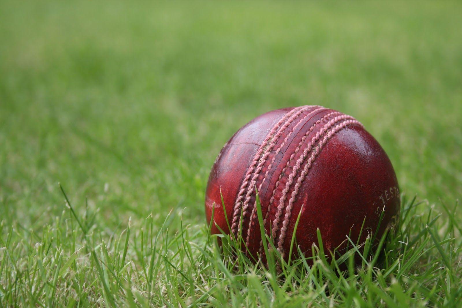 1600x1067 Cricket Background. Cricket Bat Wallpaper, Indian Cricket Team Wallpaper and Wallpaper Cricket Pinocchio