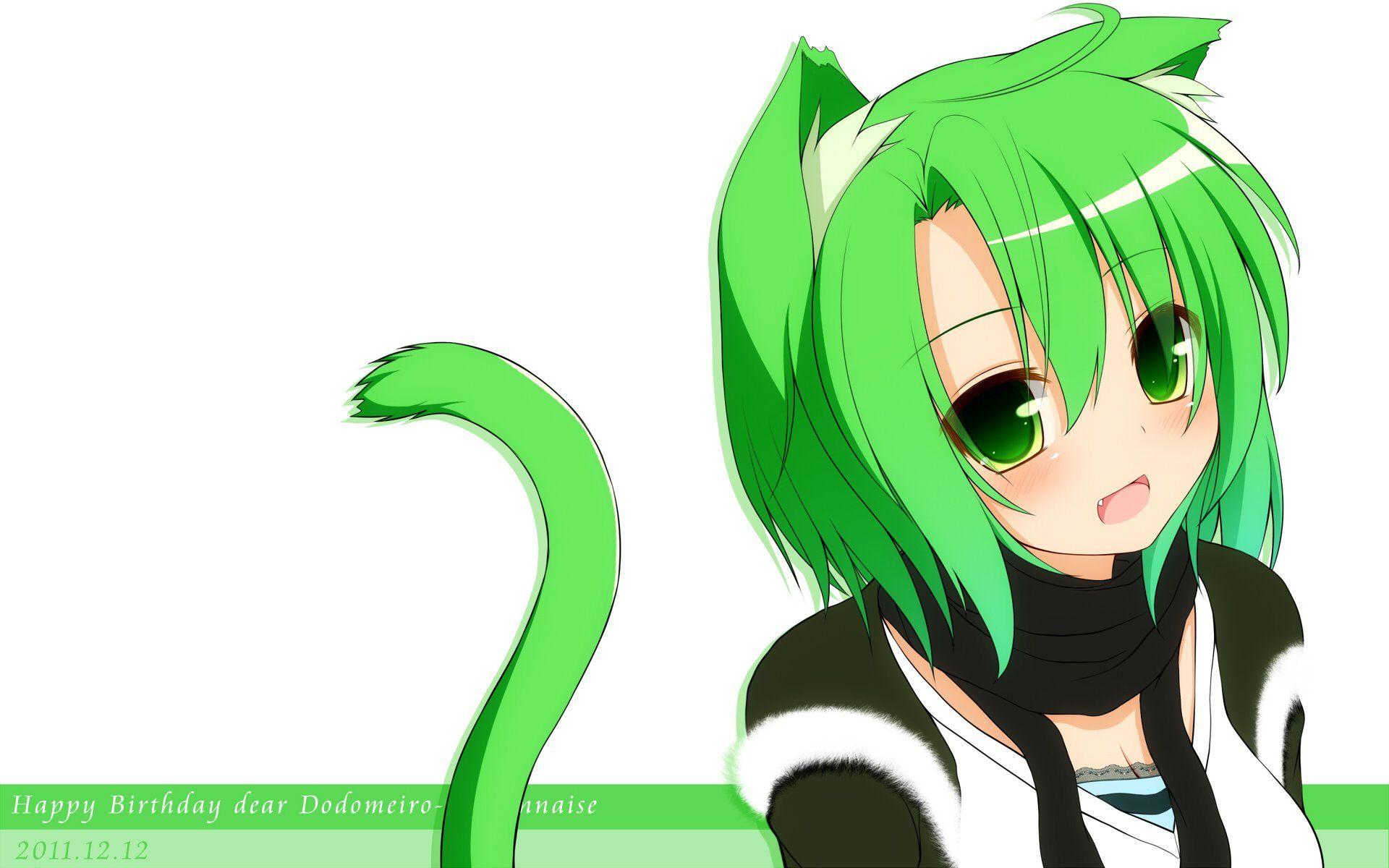 Cute Anime Cat Boy Wallpapers - Top Free Cute Anime Cat Boy Backgrounds