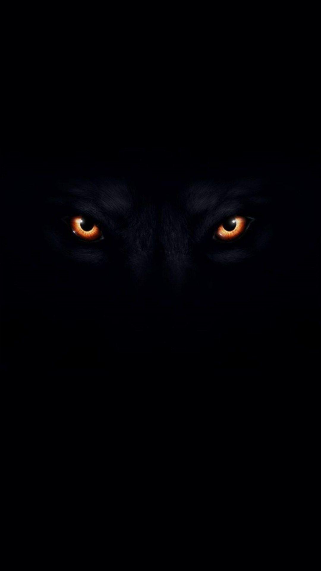 Black Wolf with Red Eyes Wallpapers - Top Free Black Wolf with Red Eyes  Backgrounds - WallpaperAccess