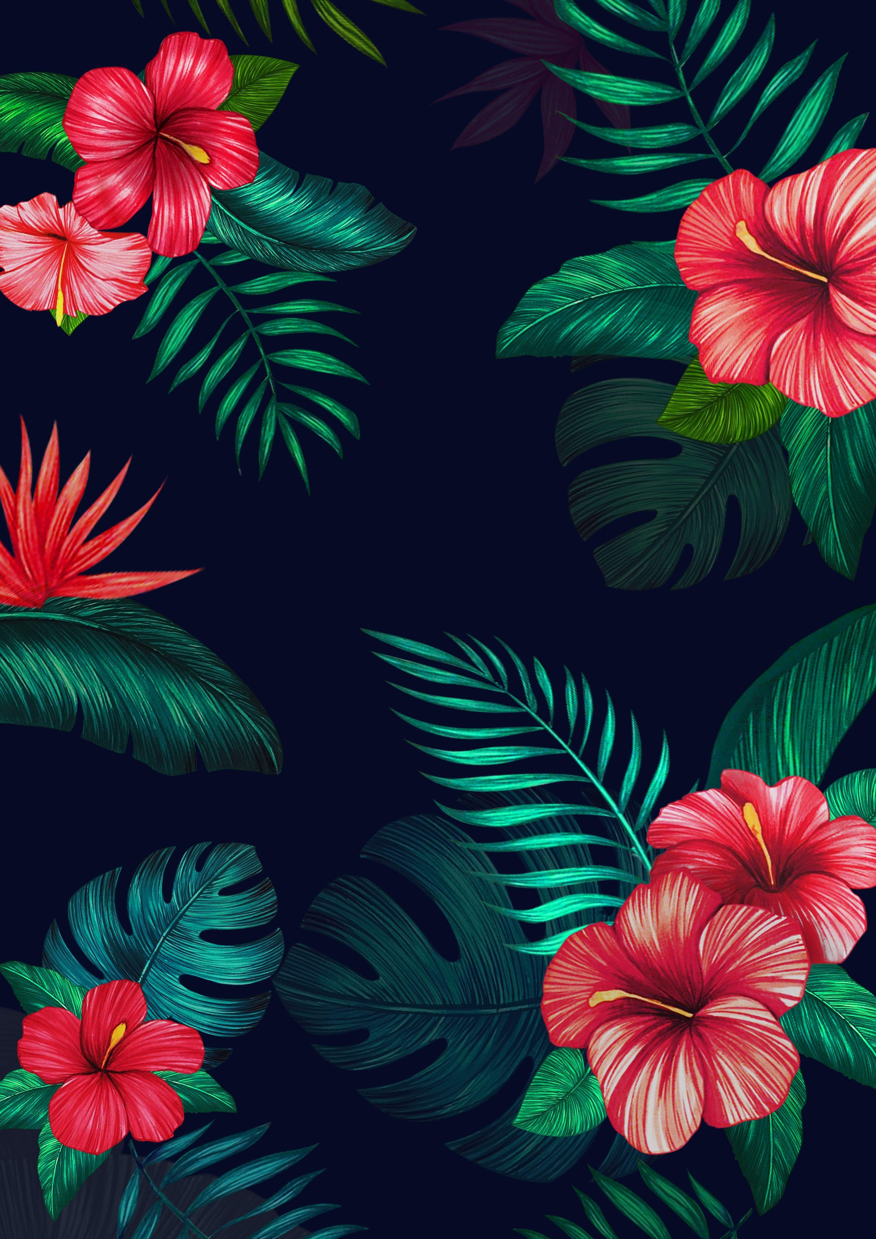 Red and Black Floral Wallpapers Top Free Red and Black Floral