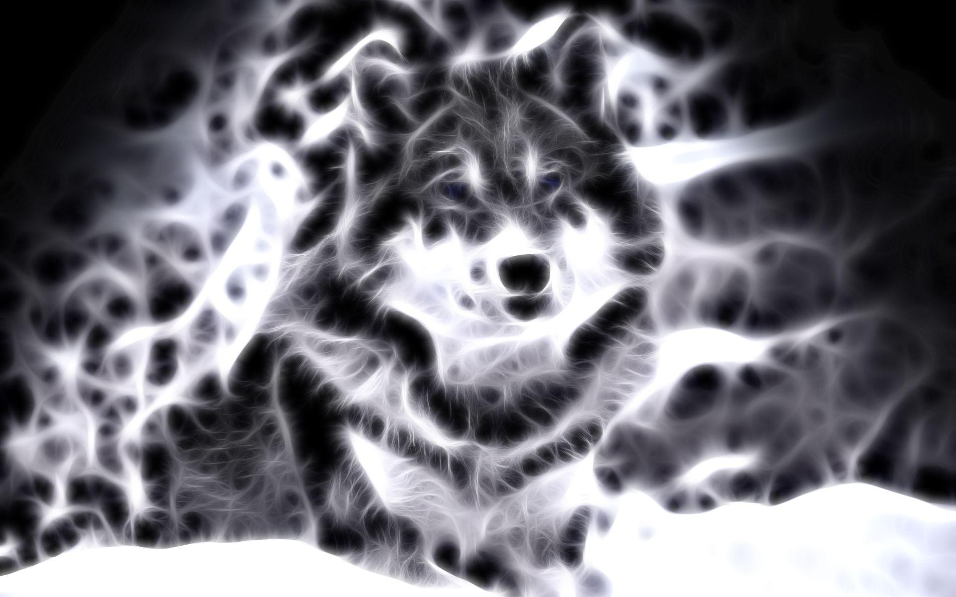 1920x1200 Cool Animal Wallpaper Picture : Animal Wallpaper Wartama Cool Background Of Animals Wallpaper 1920x1200