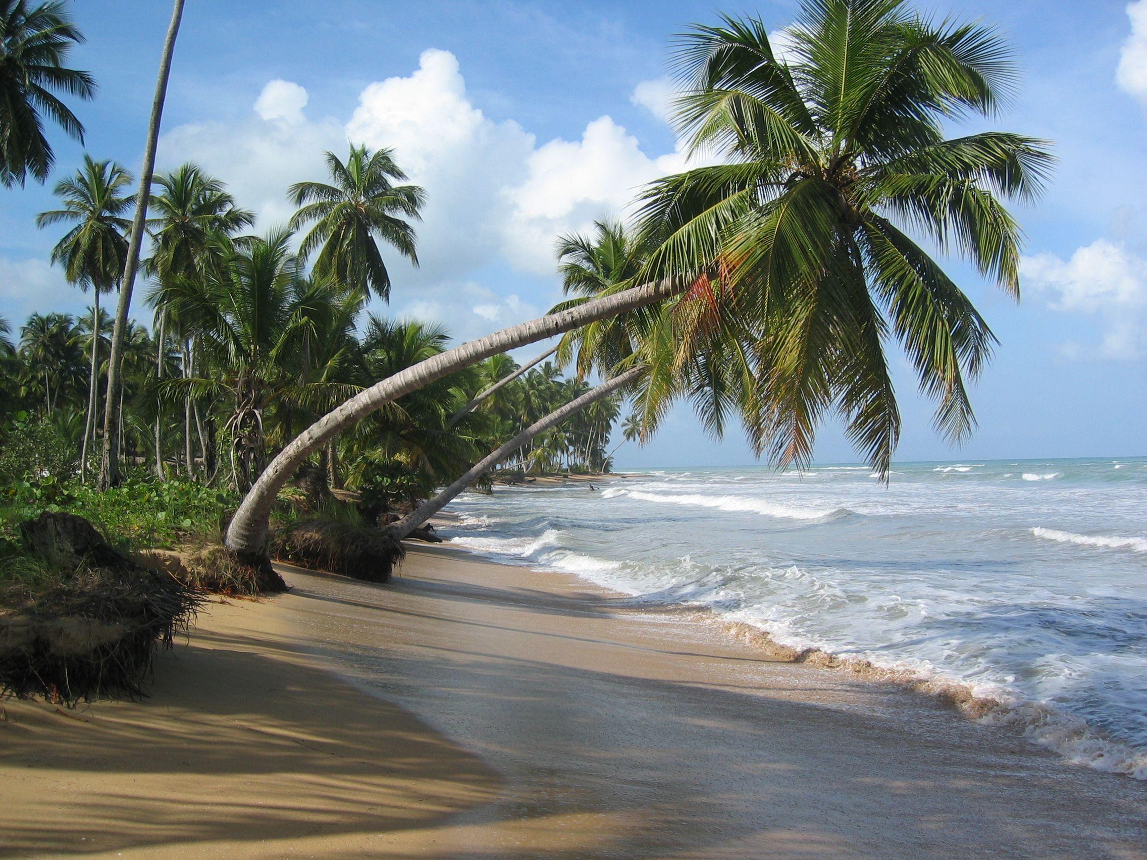 2272x1704 Las Terrenas. Vacation Haves. Dominican republic