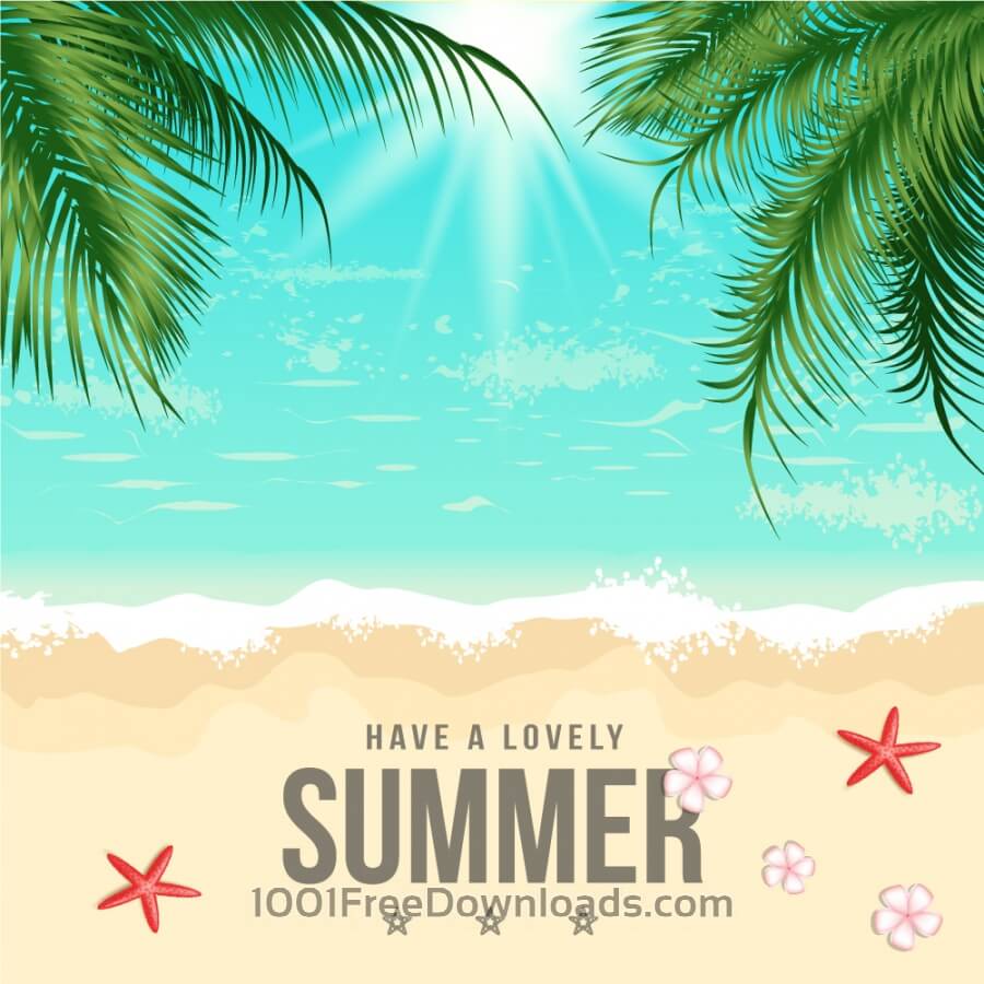 900x900 Free Vectors: Summer Beach Vector Illustration
