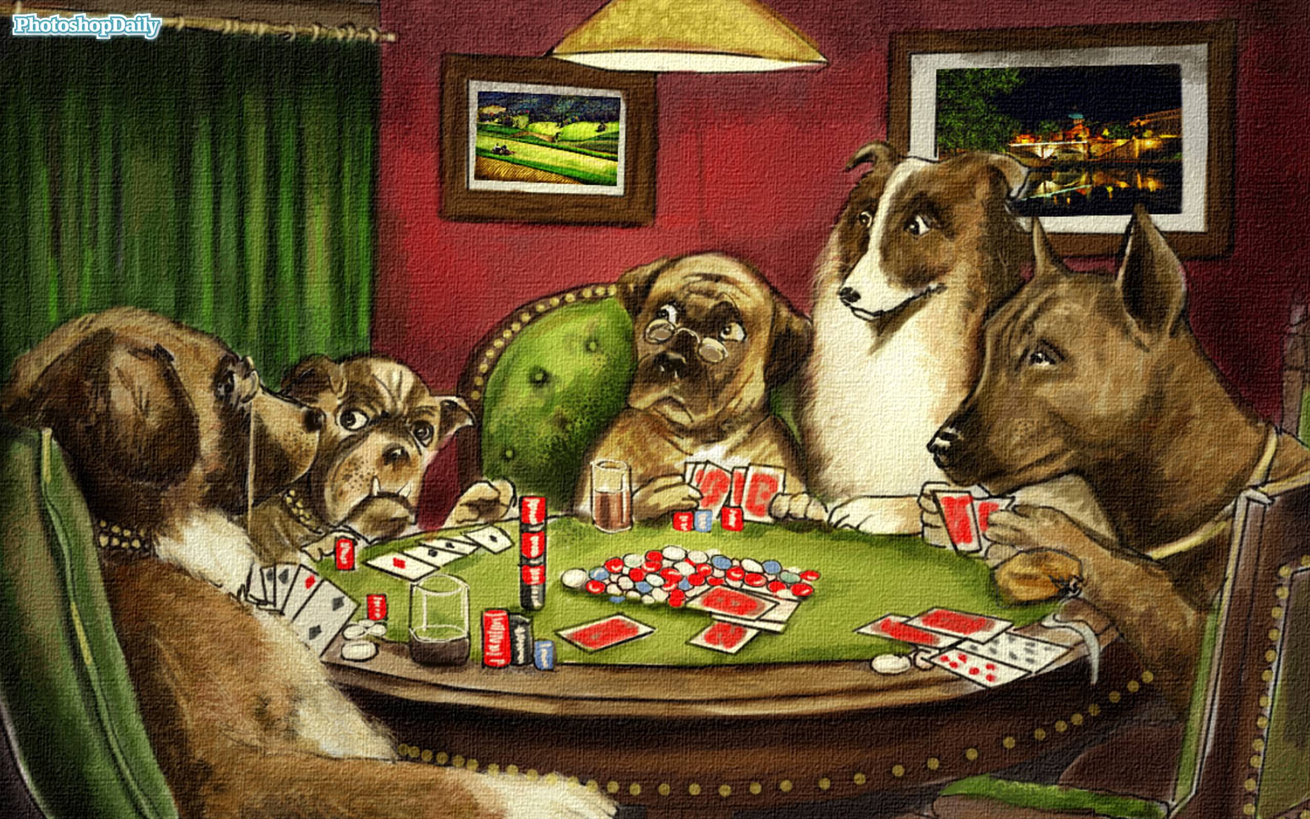 Dogs Playing Poker Wallpapers Top Free Dogs Playing Poker Backgrounds Wallpaperaccess