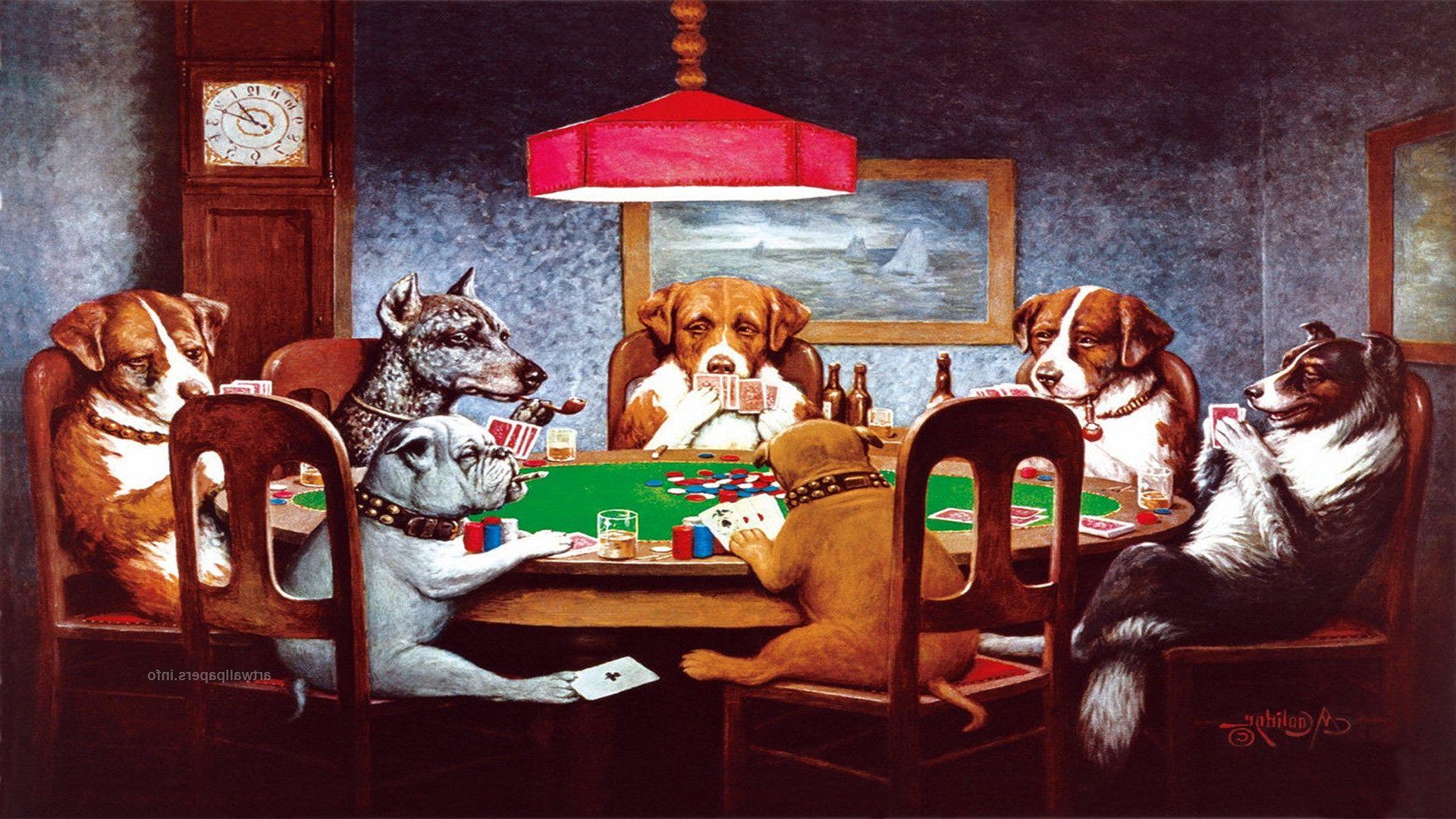 Dogs Playing Poker Wallpapers Top Free Dogs Playing Poker Backgrounds Wallpaperaccess