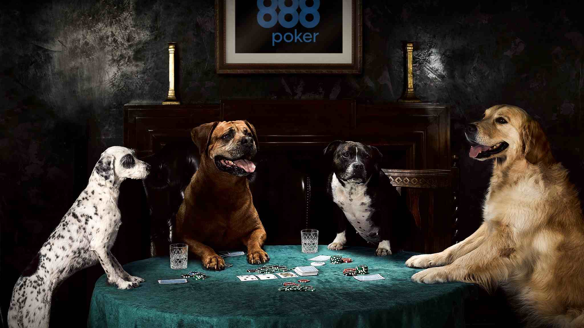 ArtStation  Dogs Playing Poker
