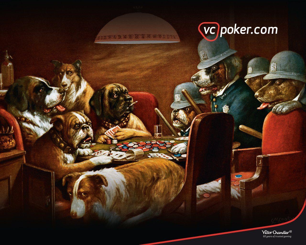 Dogs Playing Poker Wallpapers - Top Free Dogs Playing Poker Backgrounds