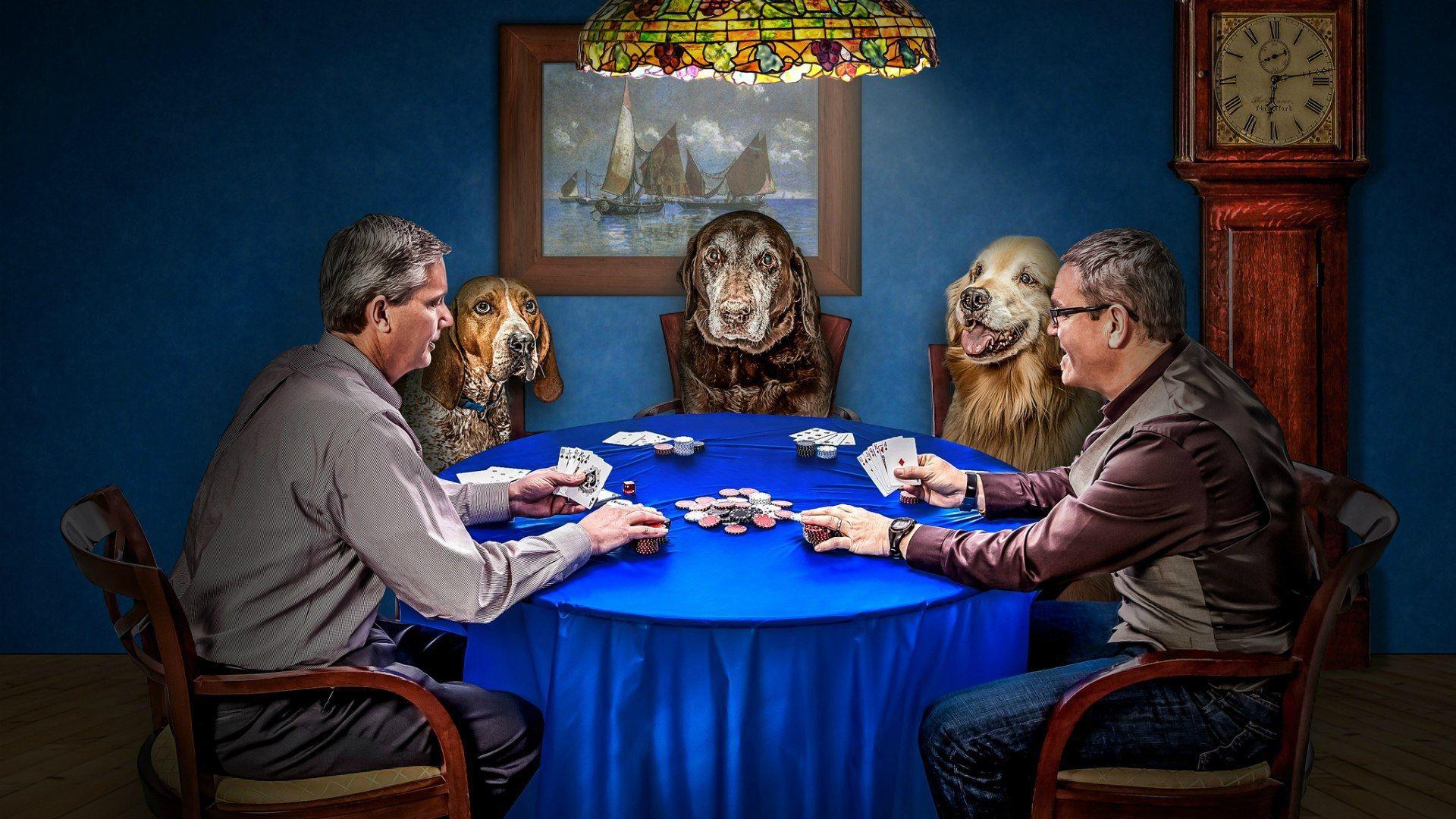 1920x1080 Playing poker with dogs Desktop wallpaper 1920x1080